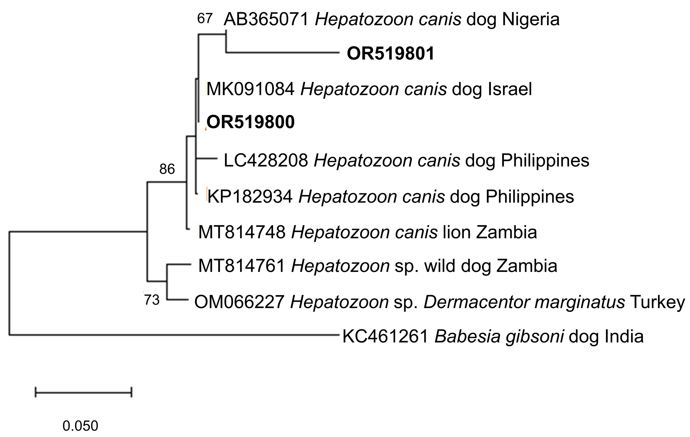 Microorganisms 11 02584 g004