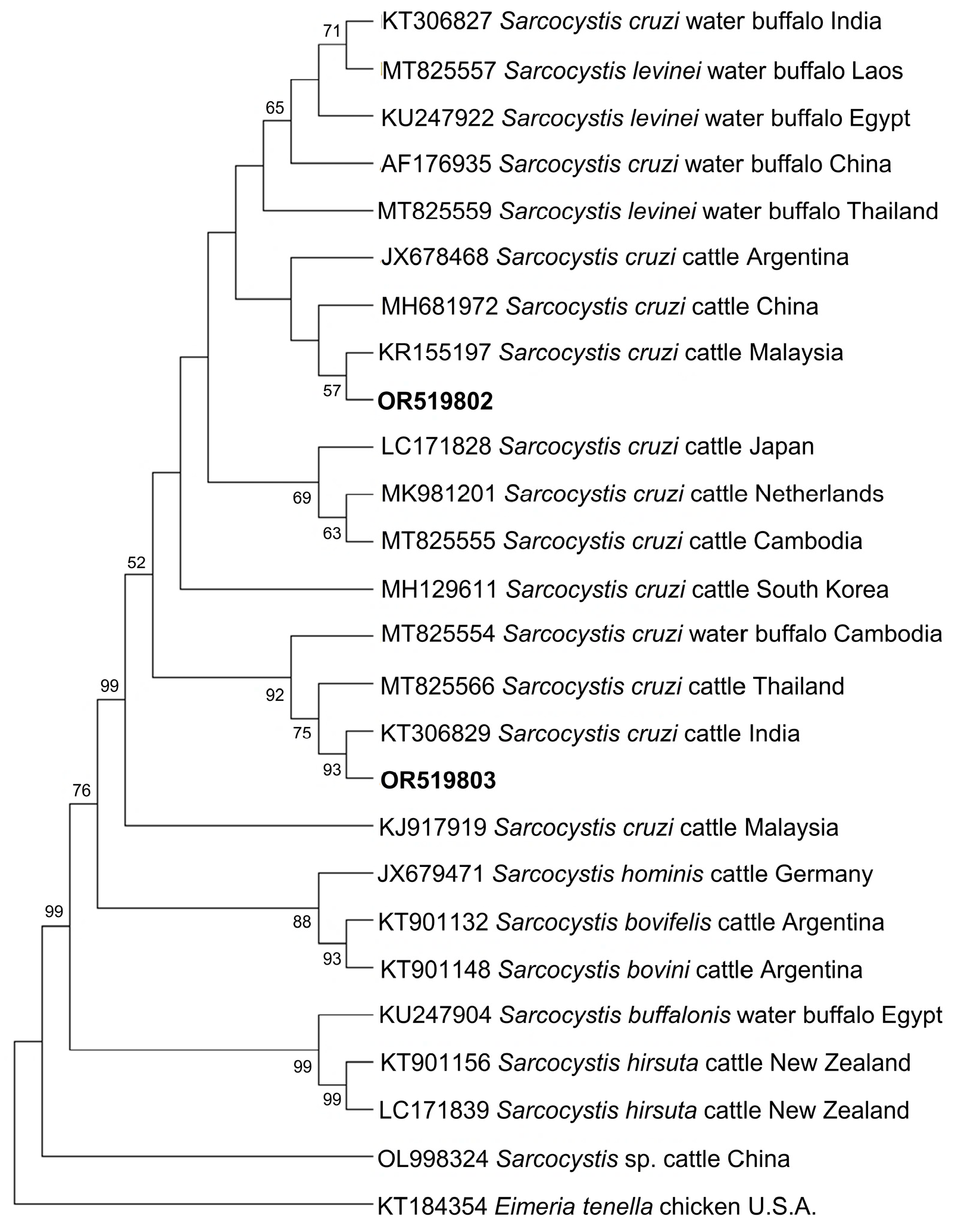 Microorganisms 11 02584 g005