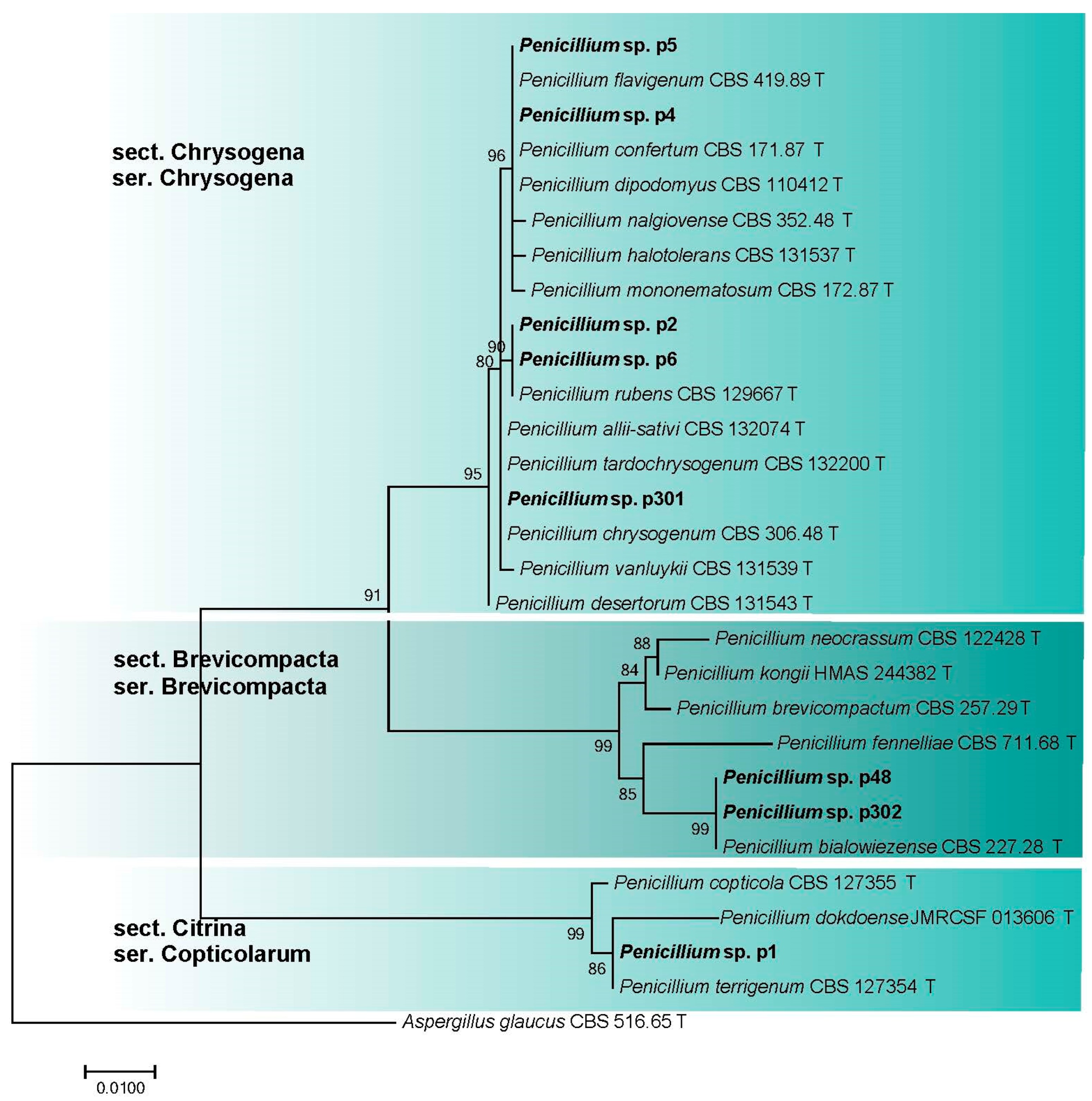 Microorganisms 11 02587 g009