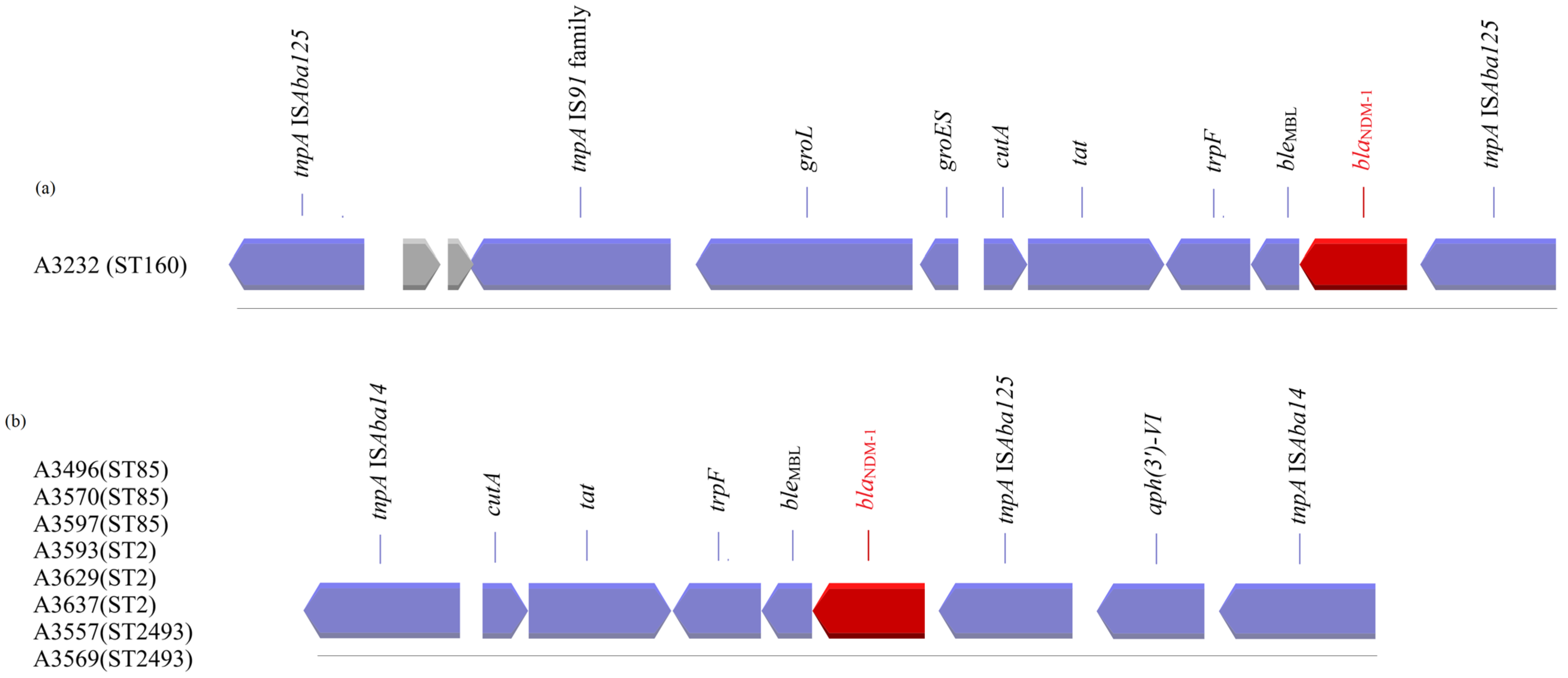 Microorganisms 11 02588 g002