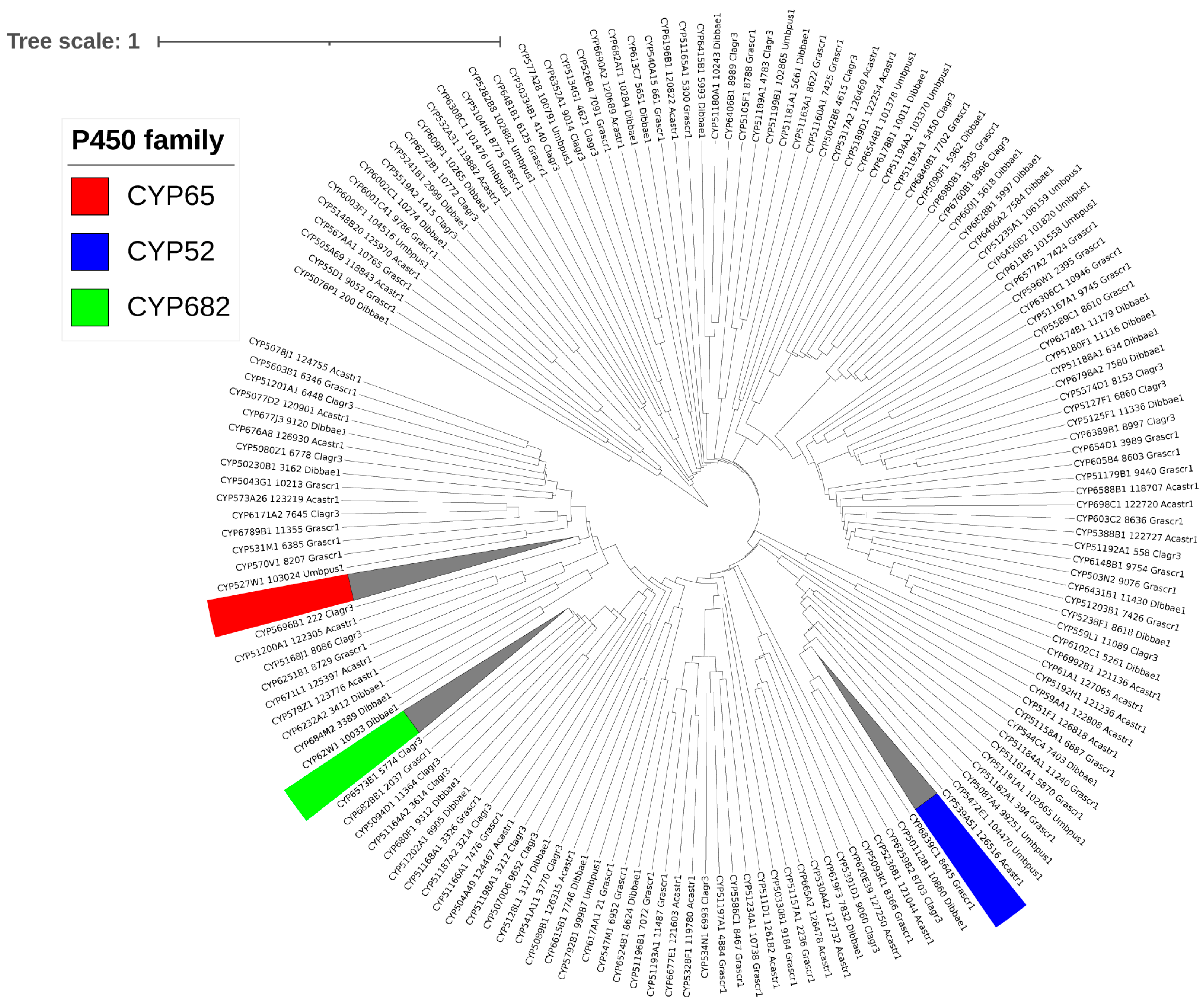 Microorganisms 11 02590 g002