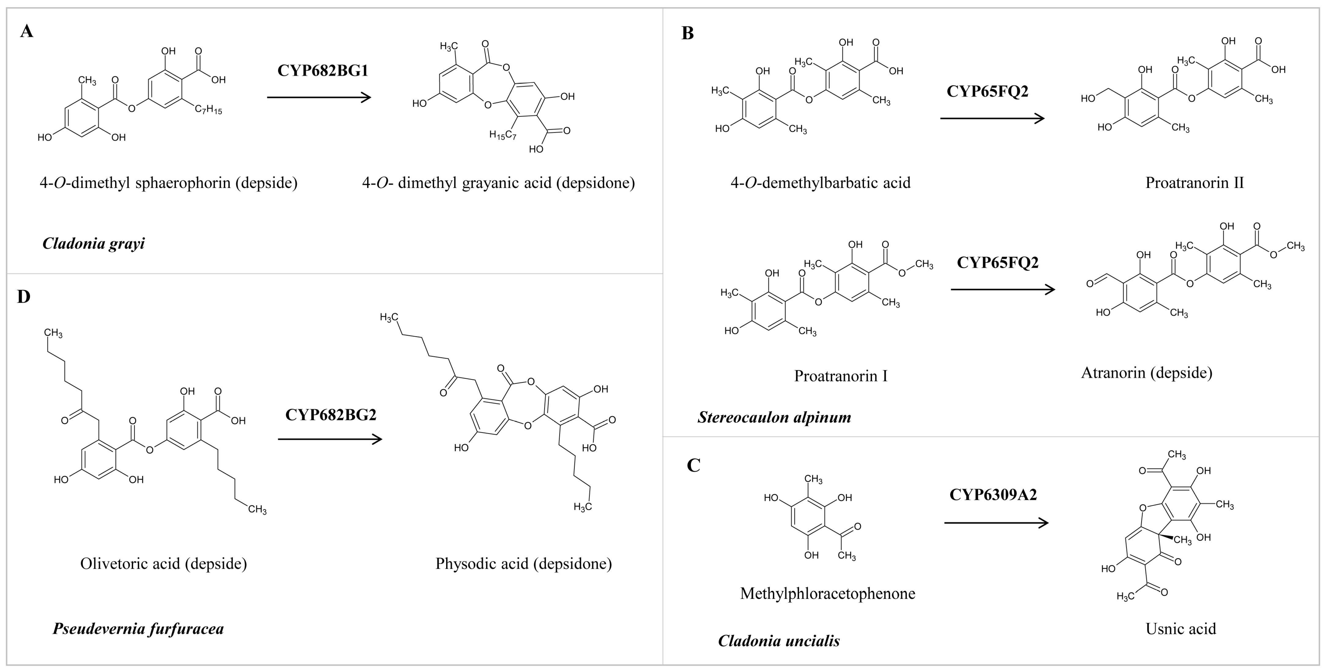 Microorganisms 11 02590 g006