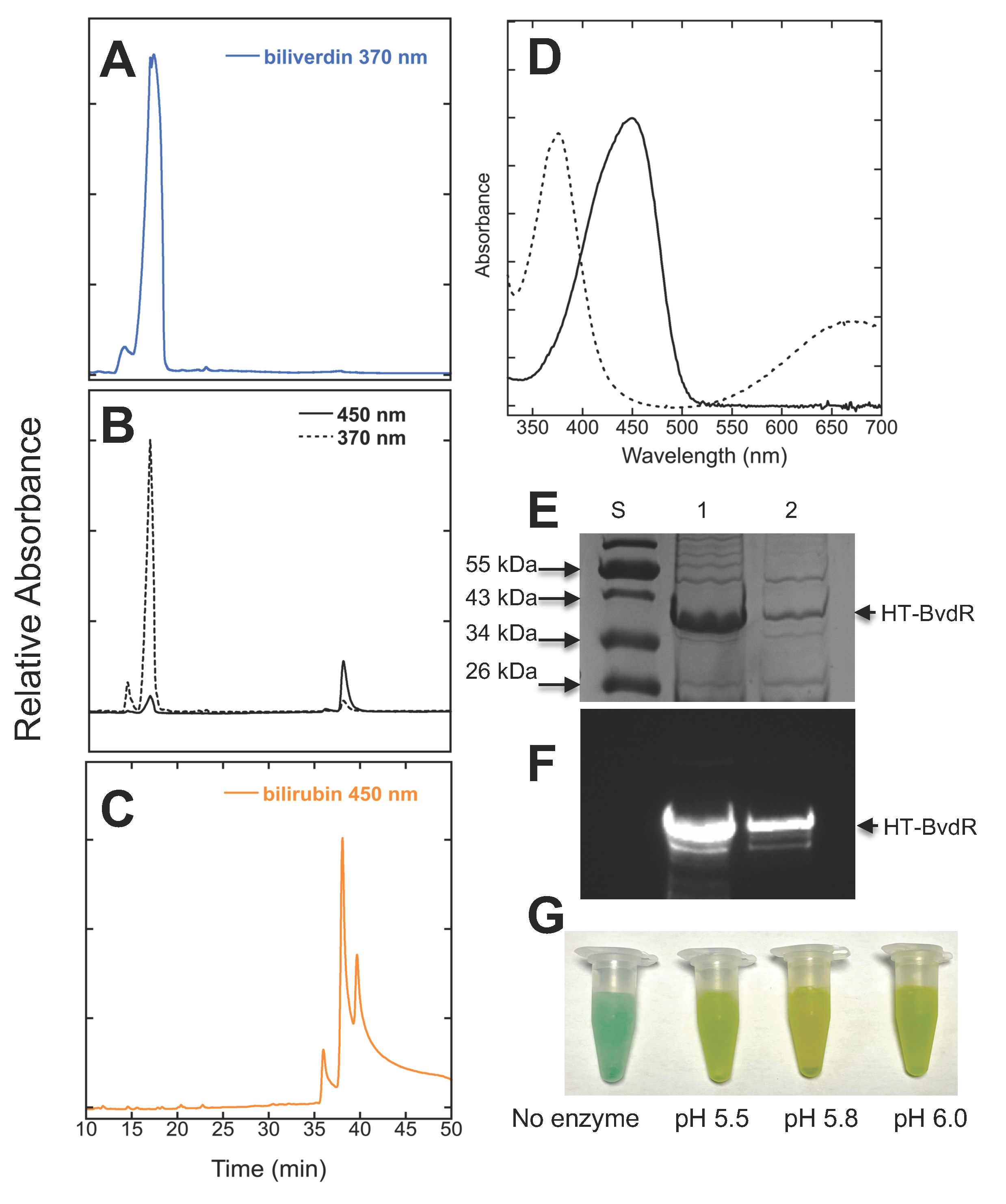 Microorganisms 11 02593 g002 Microorganisms 11 02593 g002