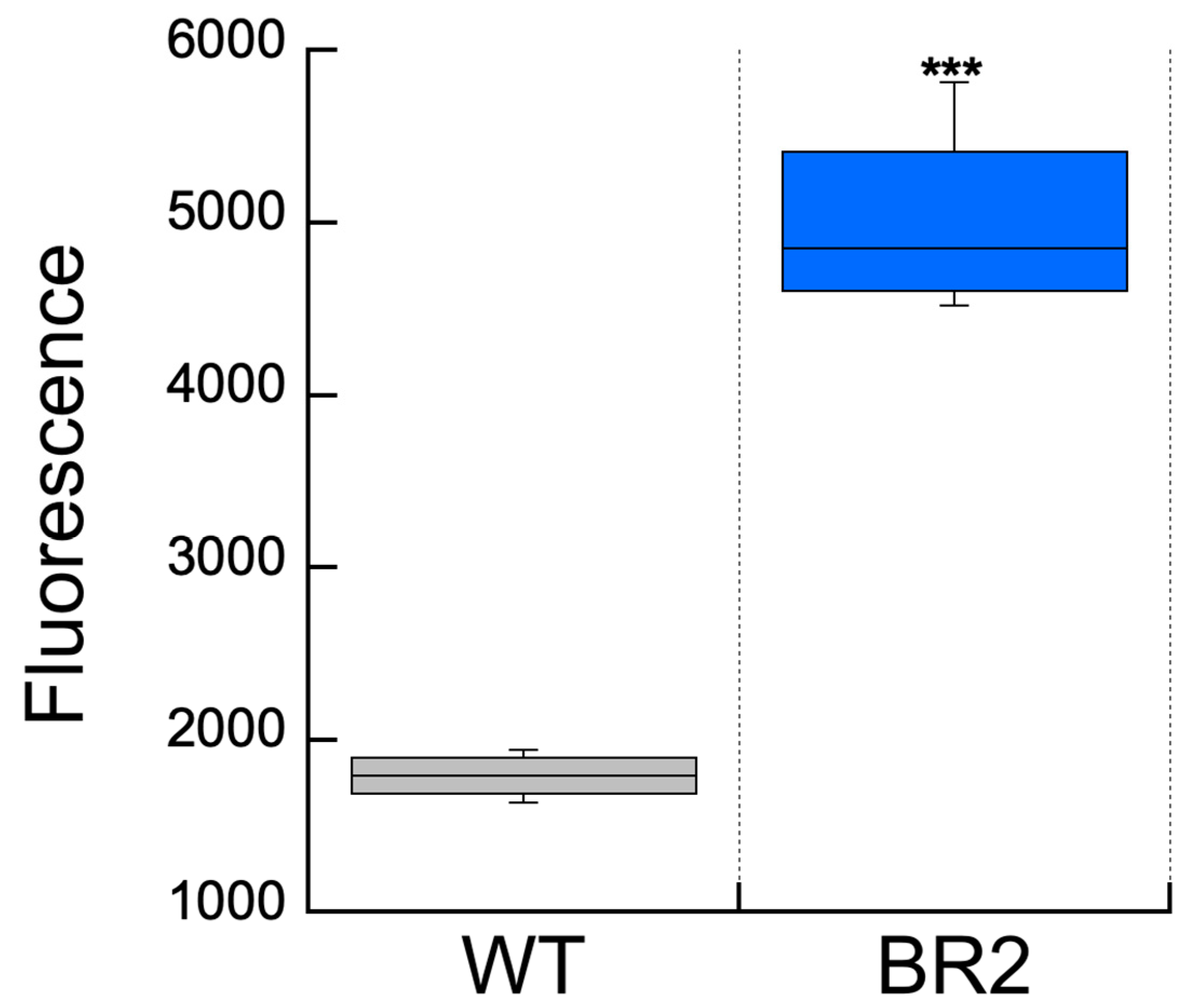 Microorganisms 11 02593 g005 Microorganisms 11 02593 g005