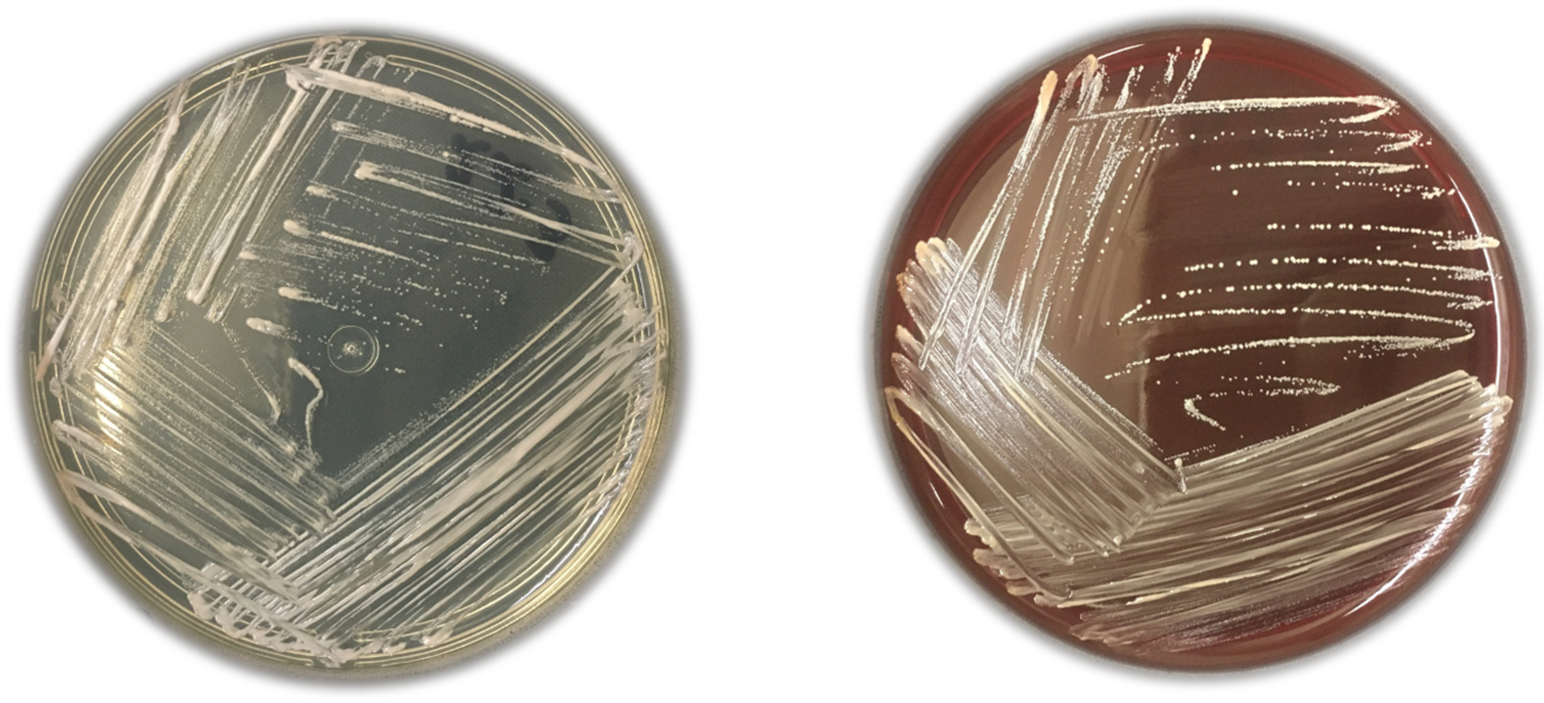 Microorganisms 11 02594 g001