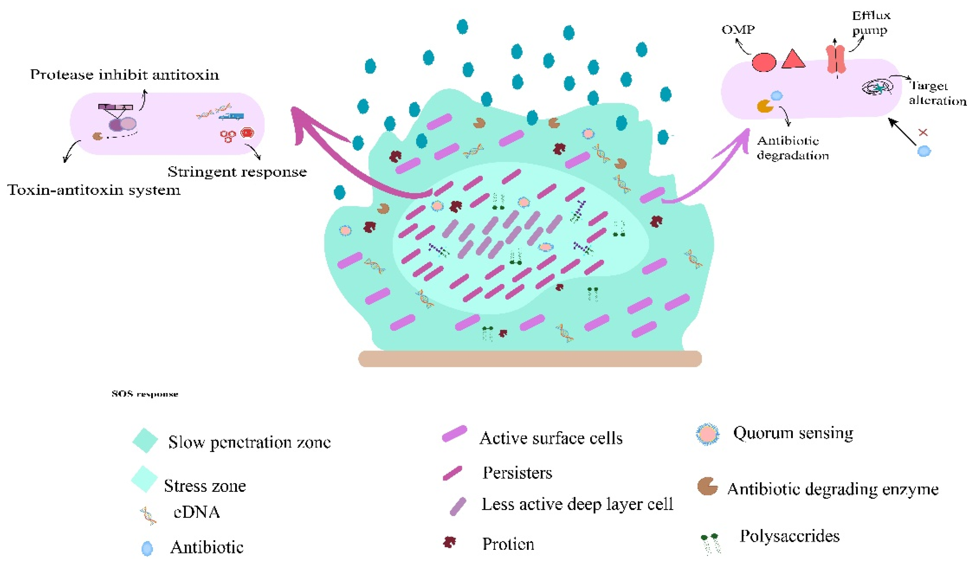 Microorganisms 11 02595 g003