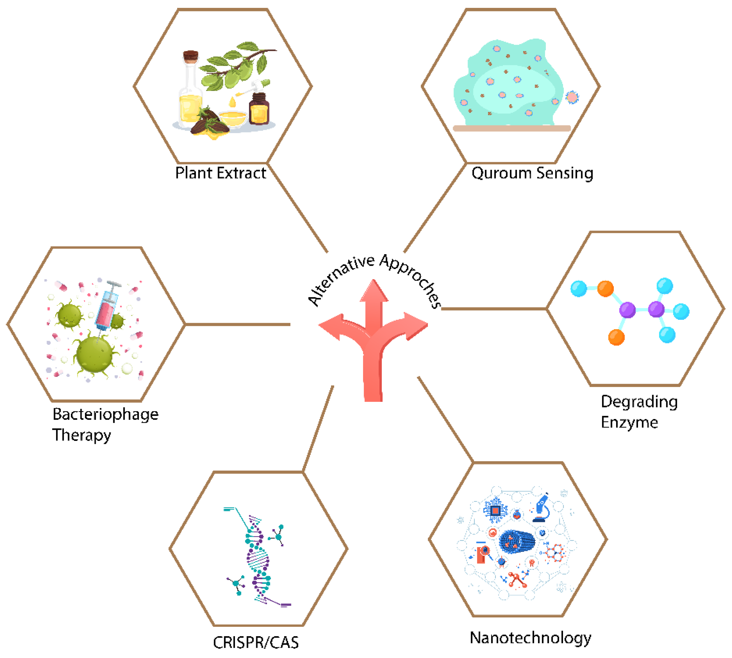 Microorganisms 11 02595 g004