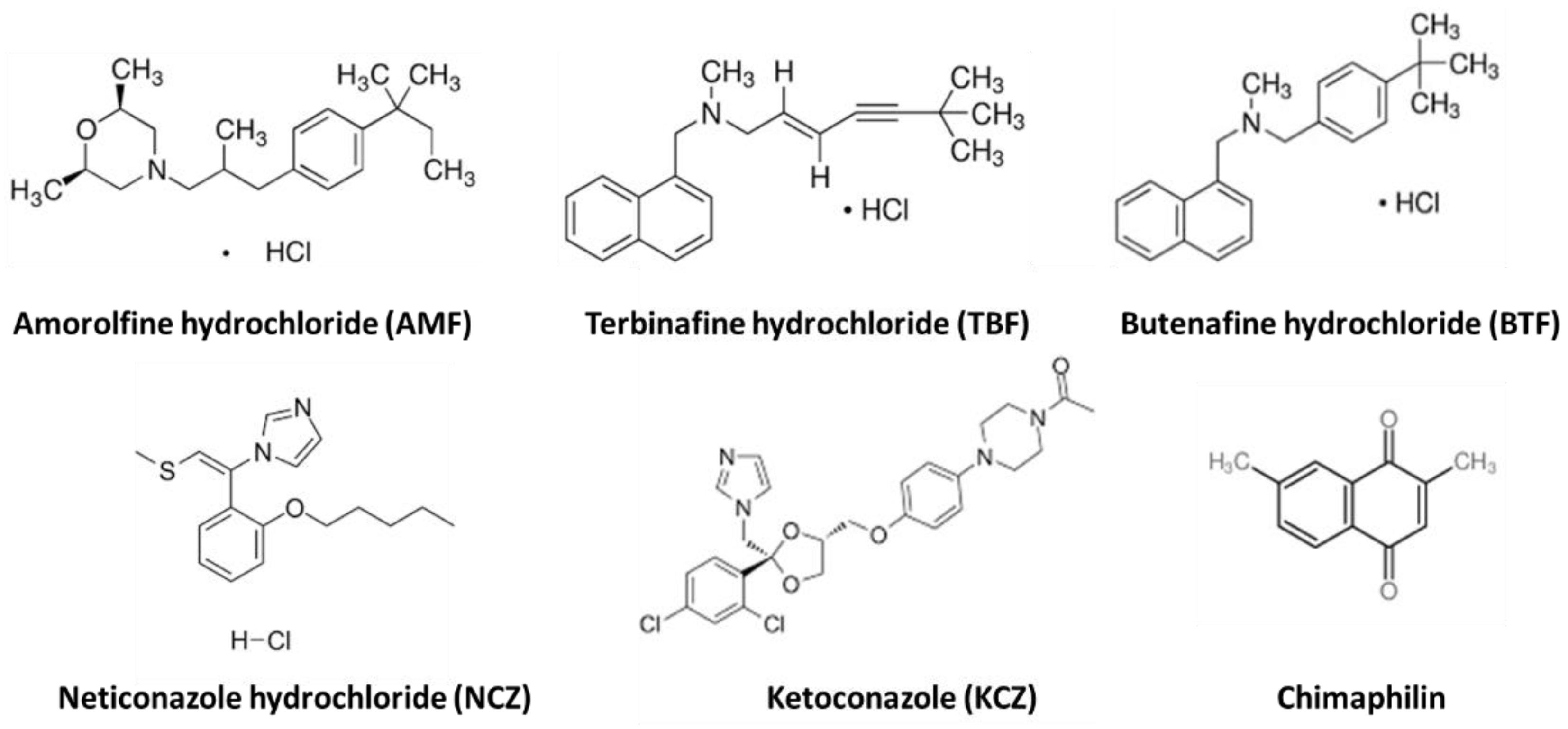 Microorganisms 11 02599 g003