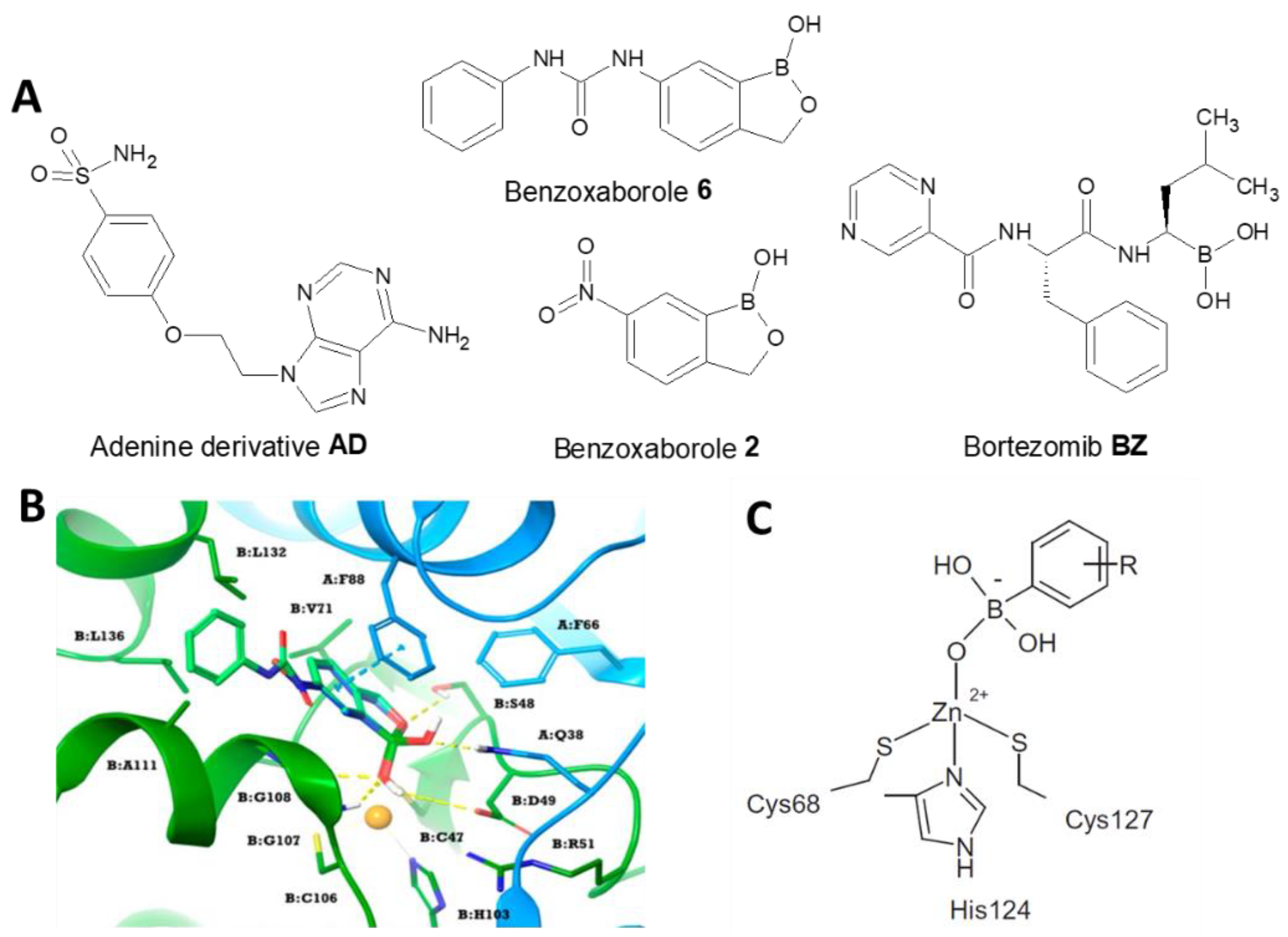 Microorganisms 11 02599 g011