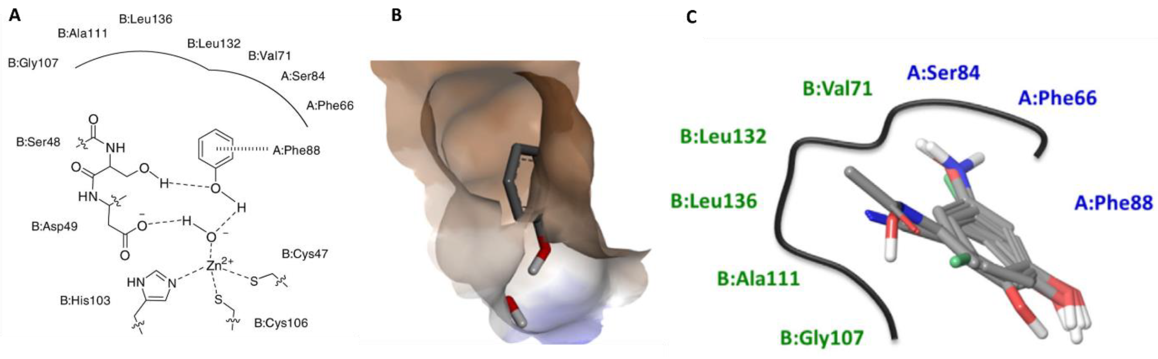 Microorganisms 11 02599 g013