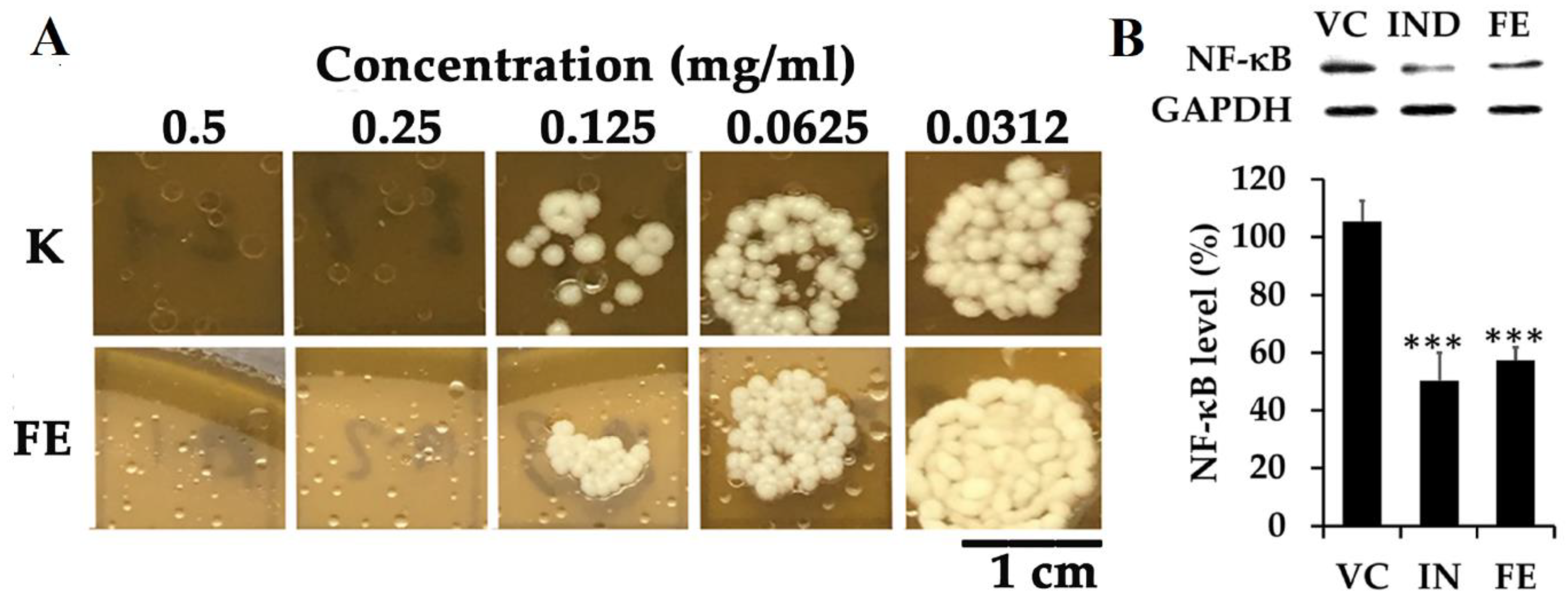 Microorganisms 11 02599 g017