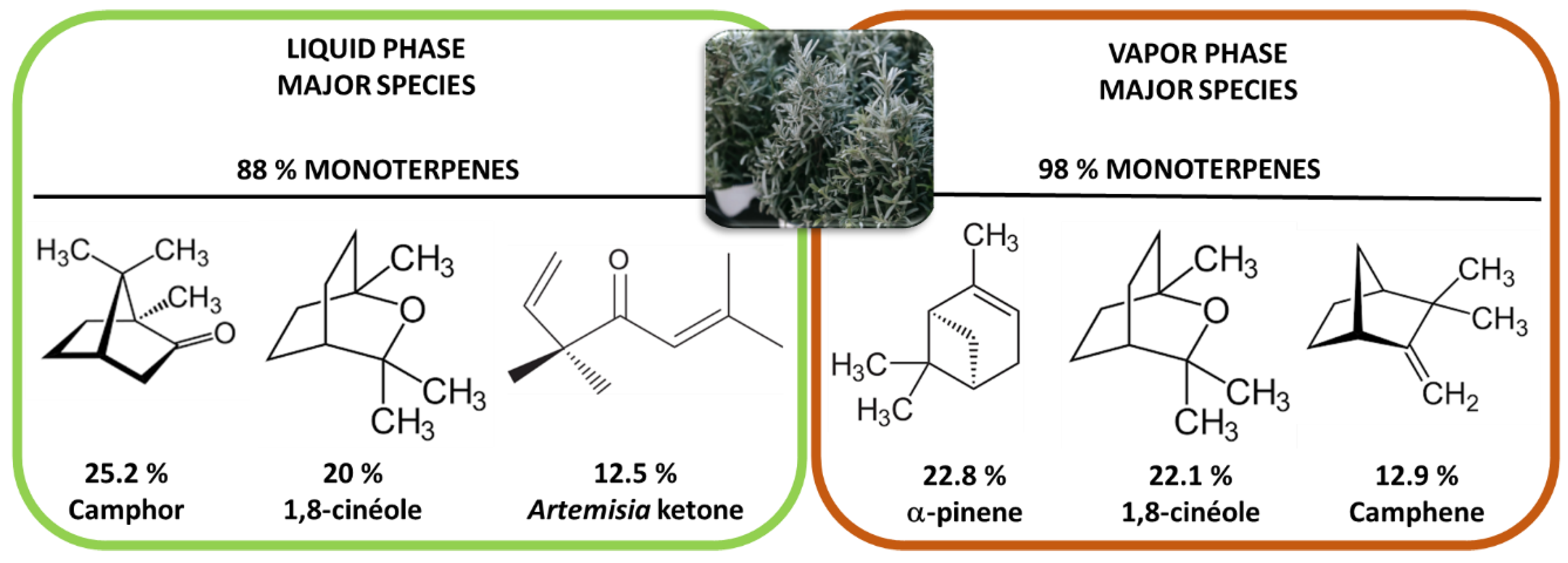 Microorganisms 11 02599 g026