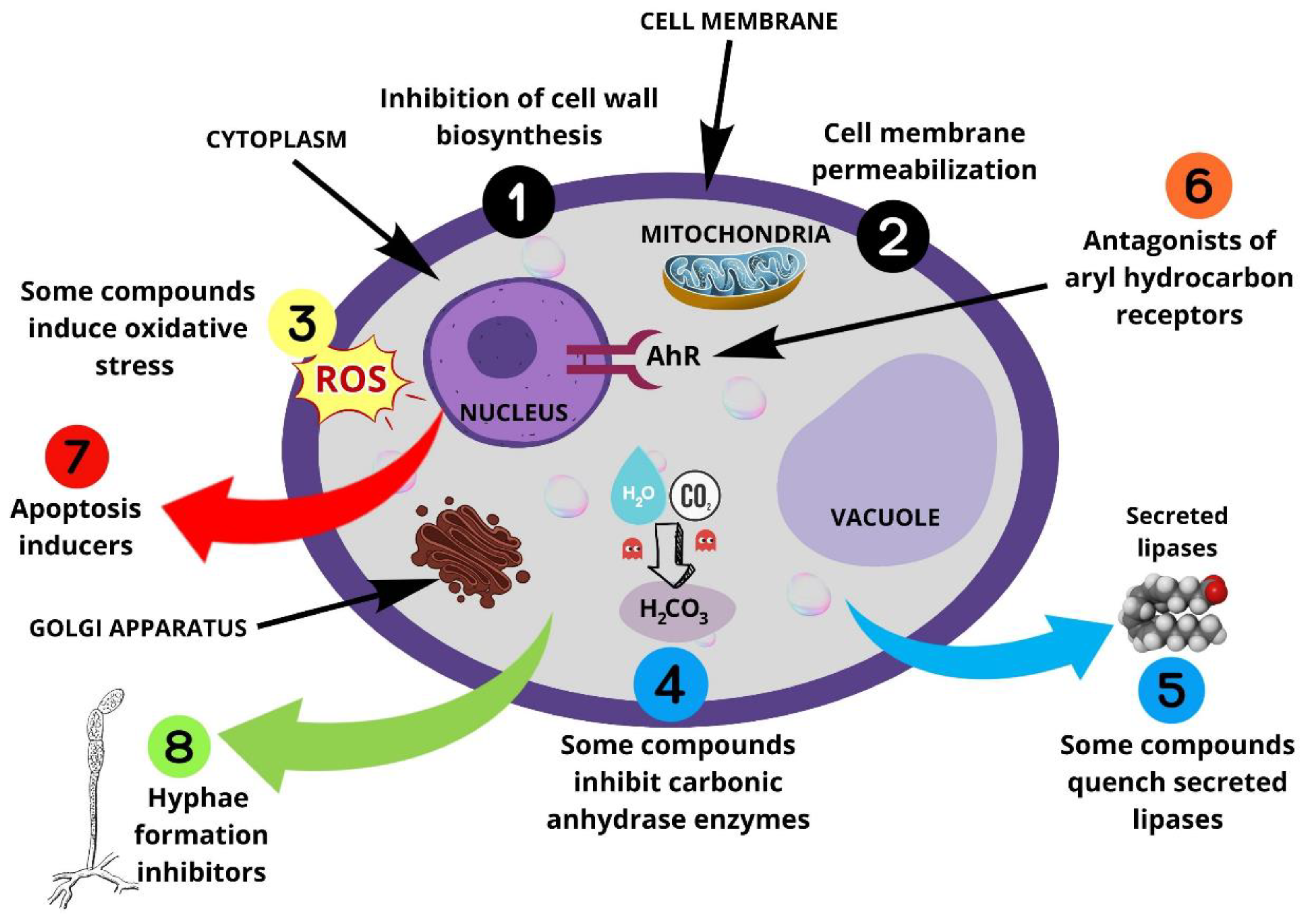 Microorganisms 11 02599 sch001