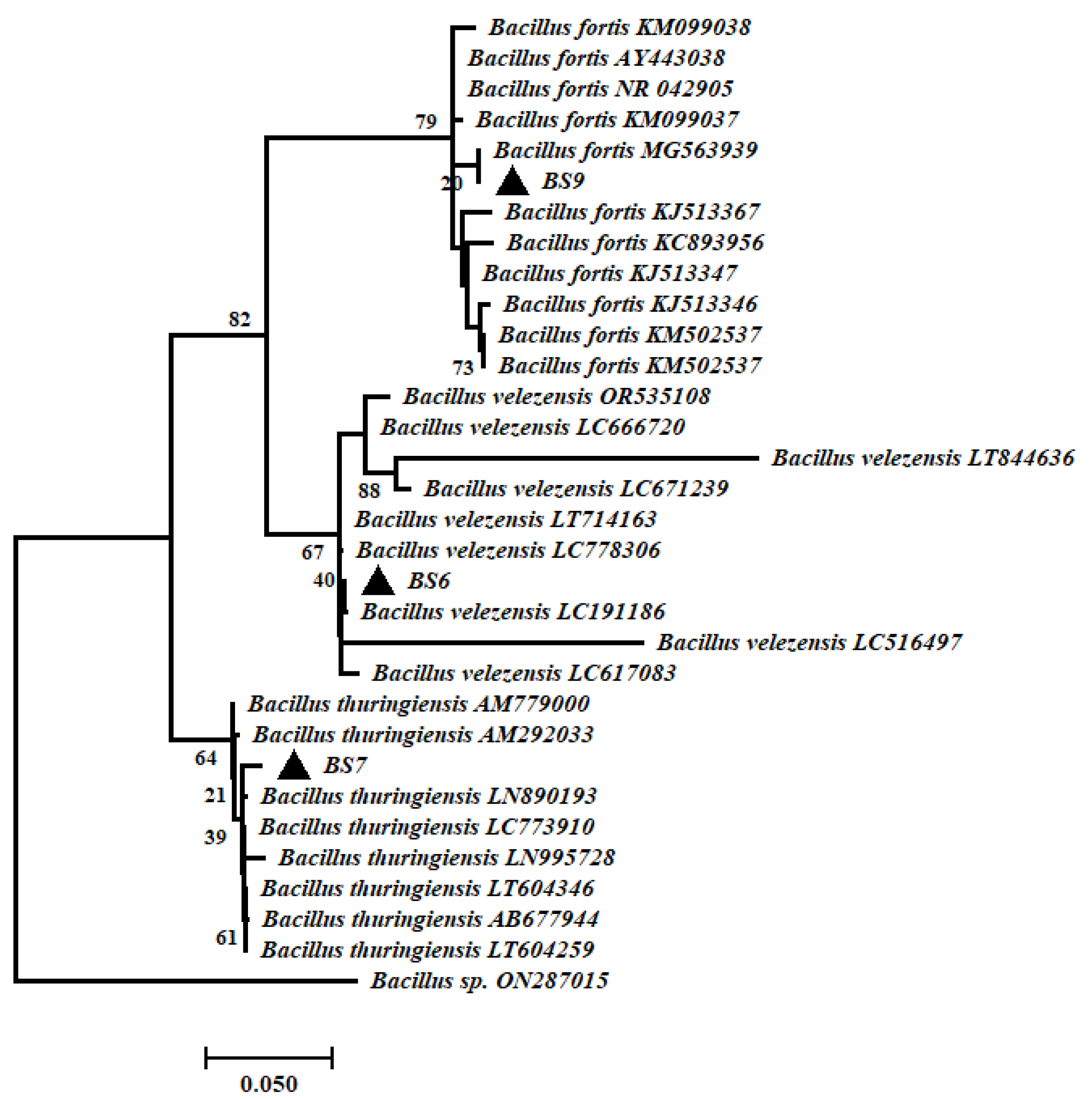 Microorganisms 11 02603 g002