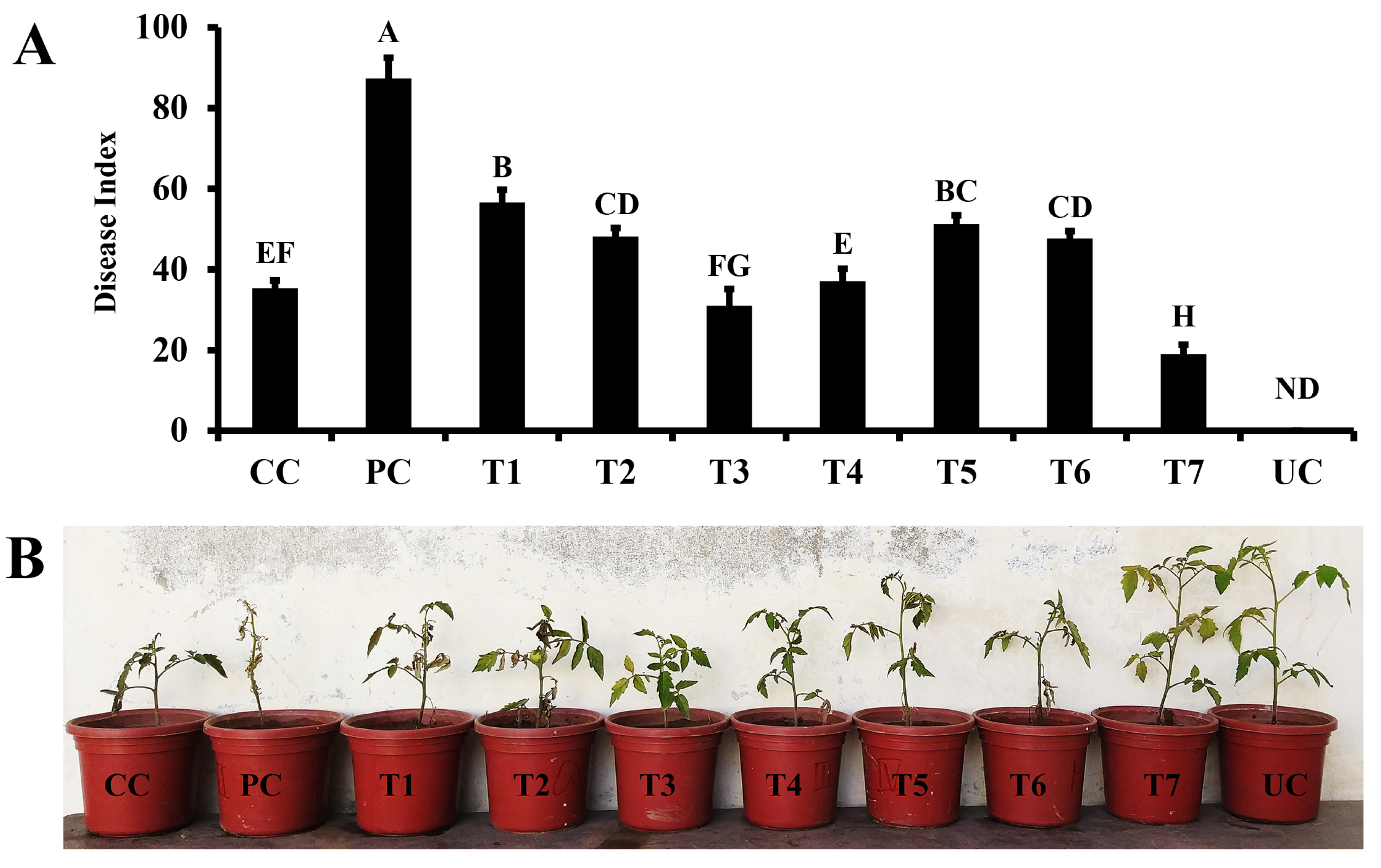 Microorganisms 11 02603 g004