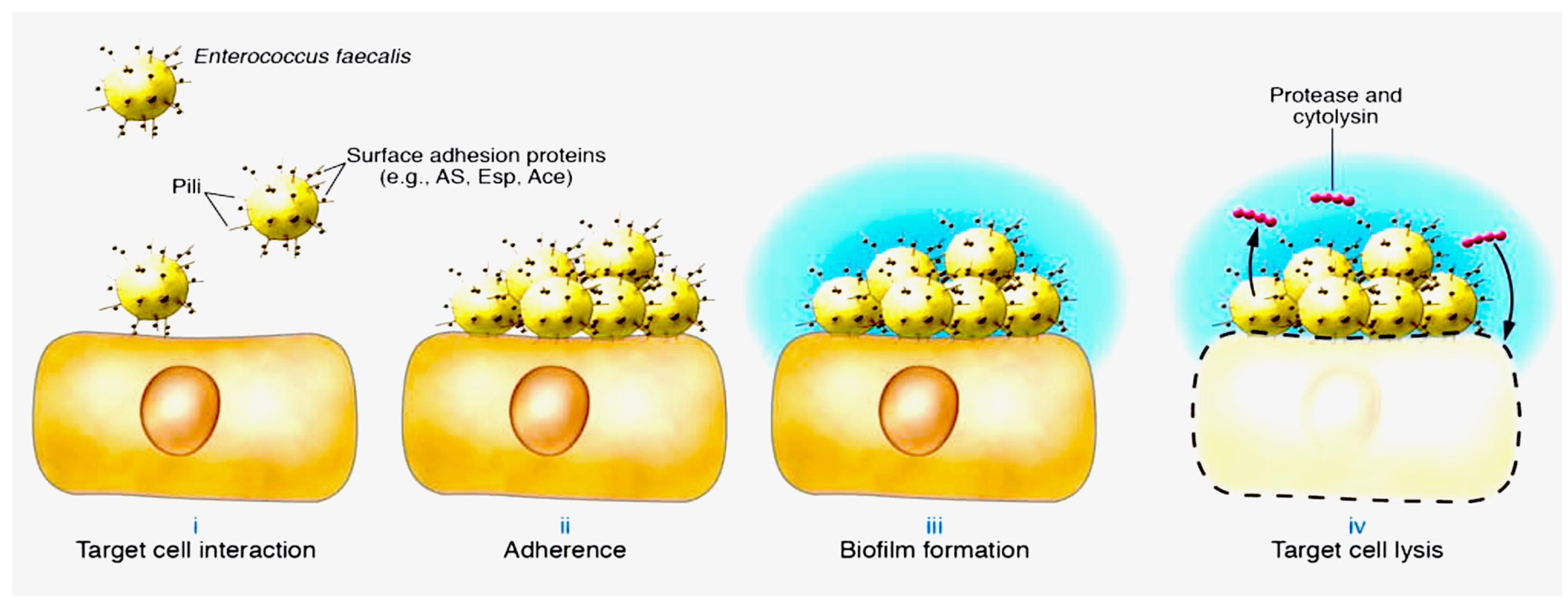 Microorganisms 11 02604 g003 Microorganisms 11 02604 g003