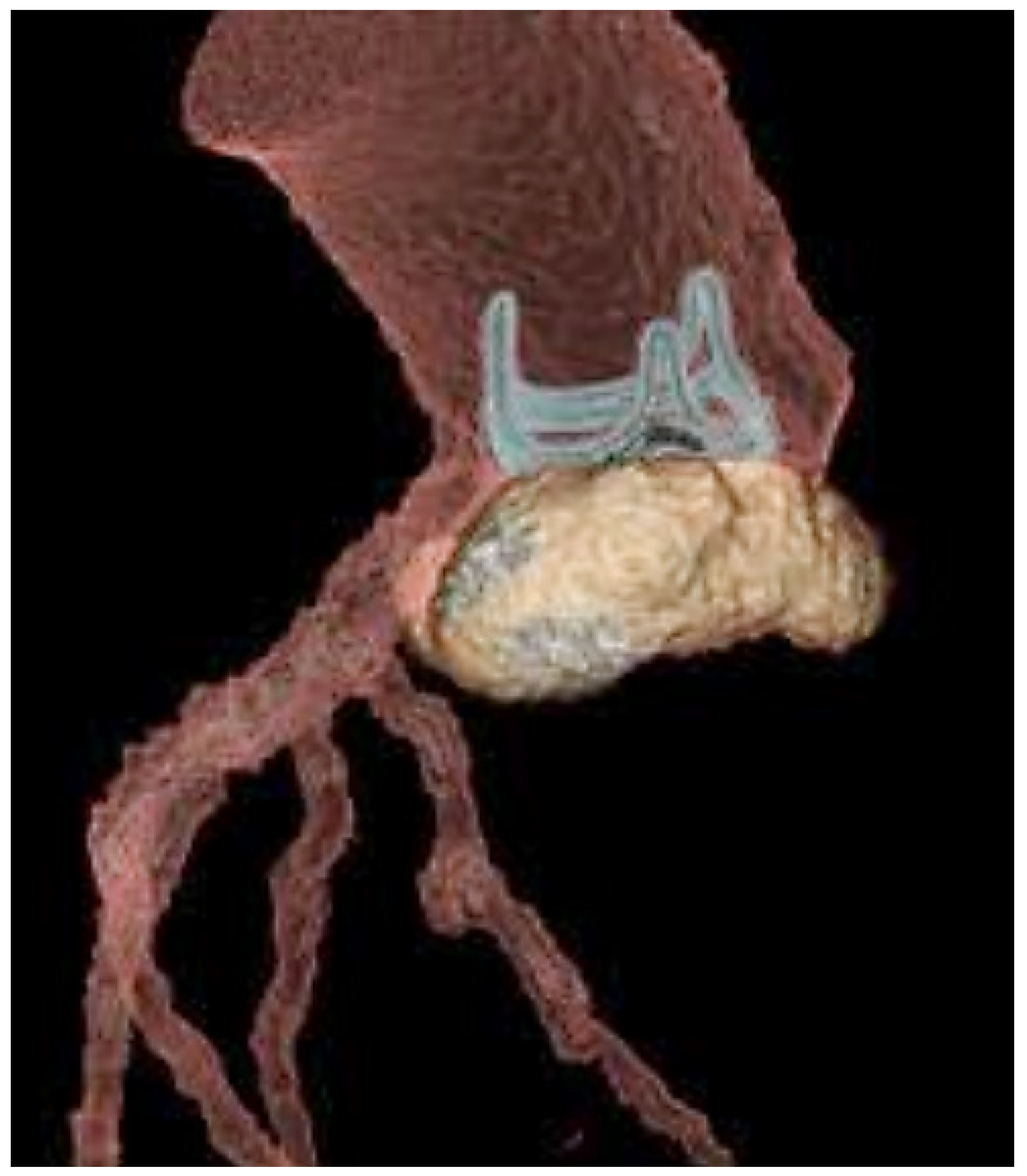 Microorganisms 11 02604 g004 Microorganisms 11 02604 g004
