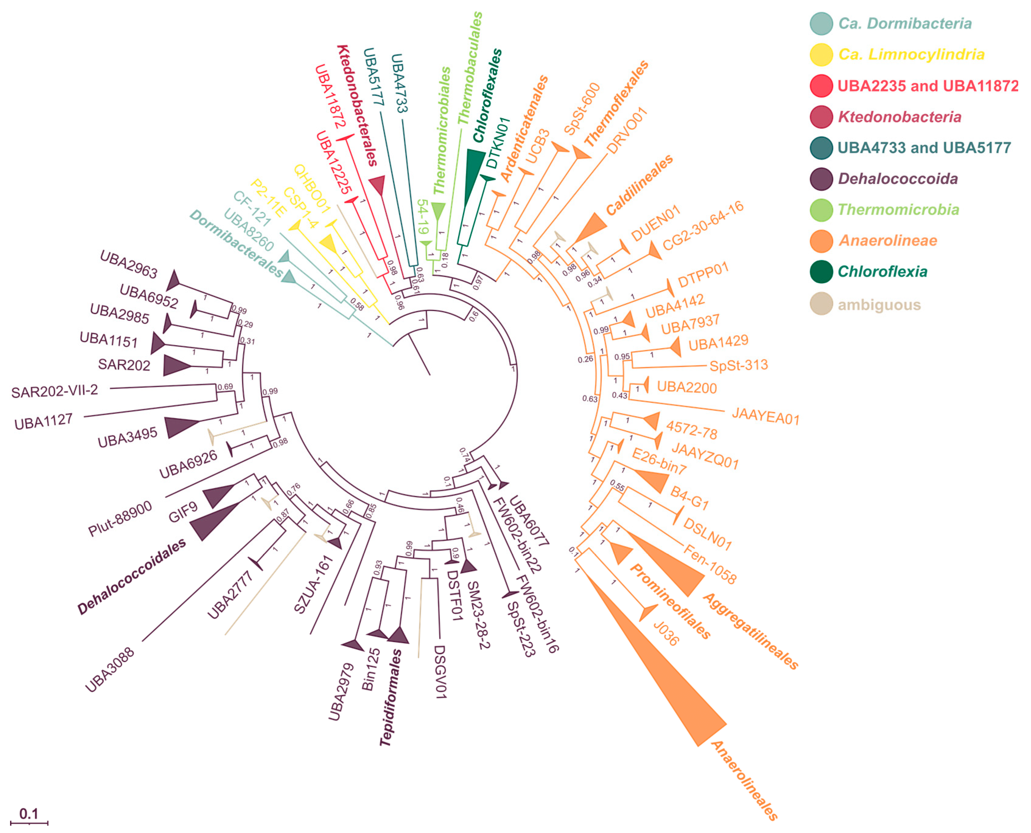 Microorganisms 11 02612 g003 Microorganisms 11 02612 g003