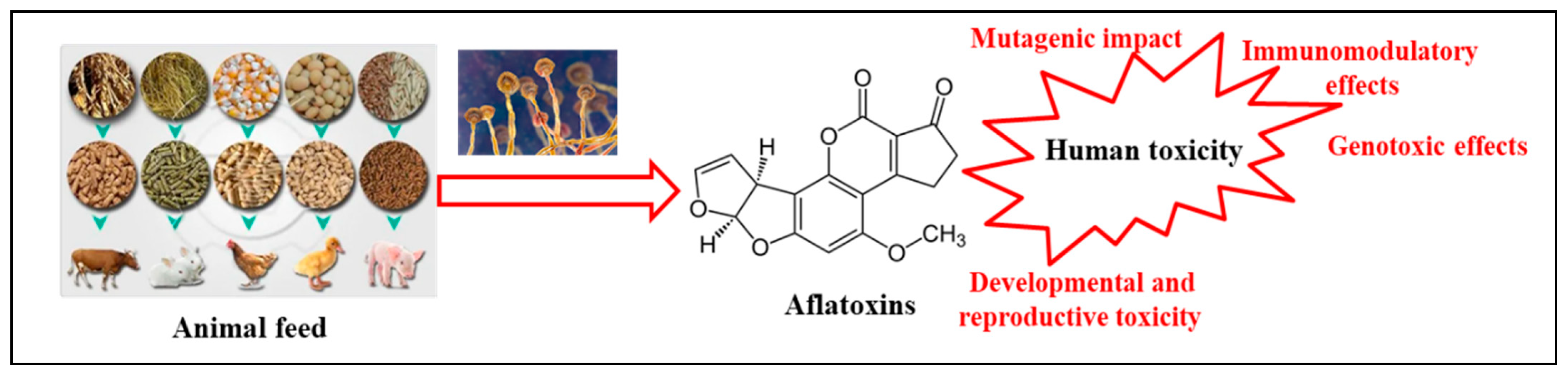 Microorganisms 11 02614 g002 Microorganisms 11 02614 g002