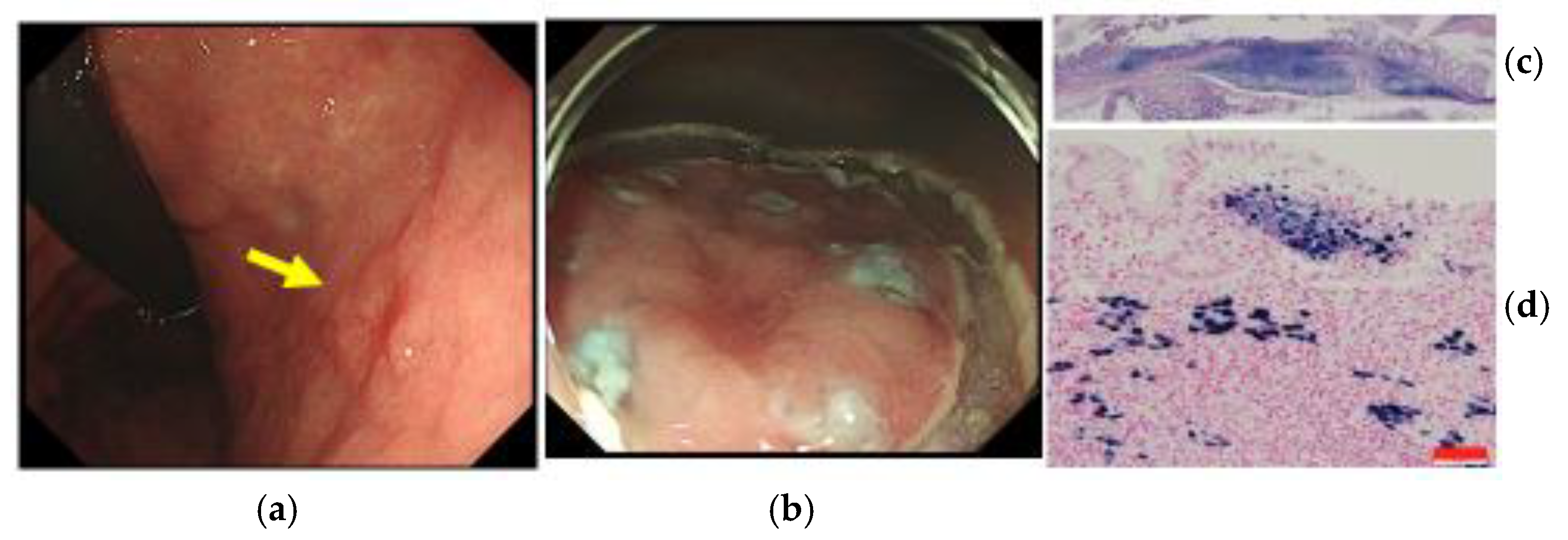 Microorganisms 11 02619 g002