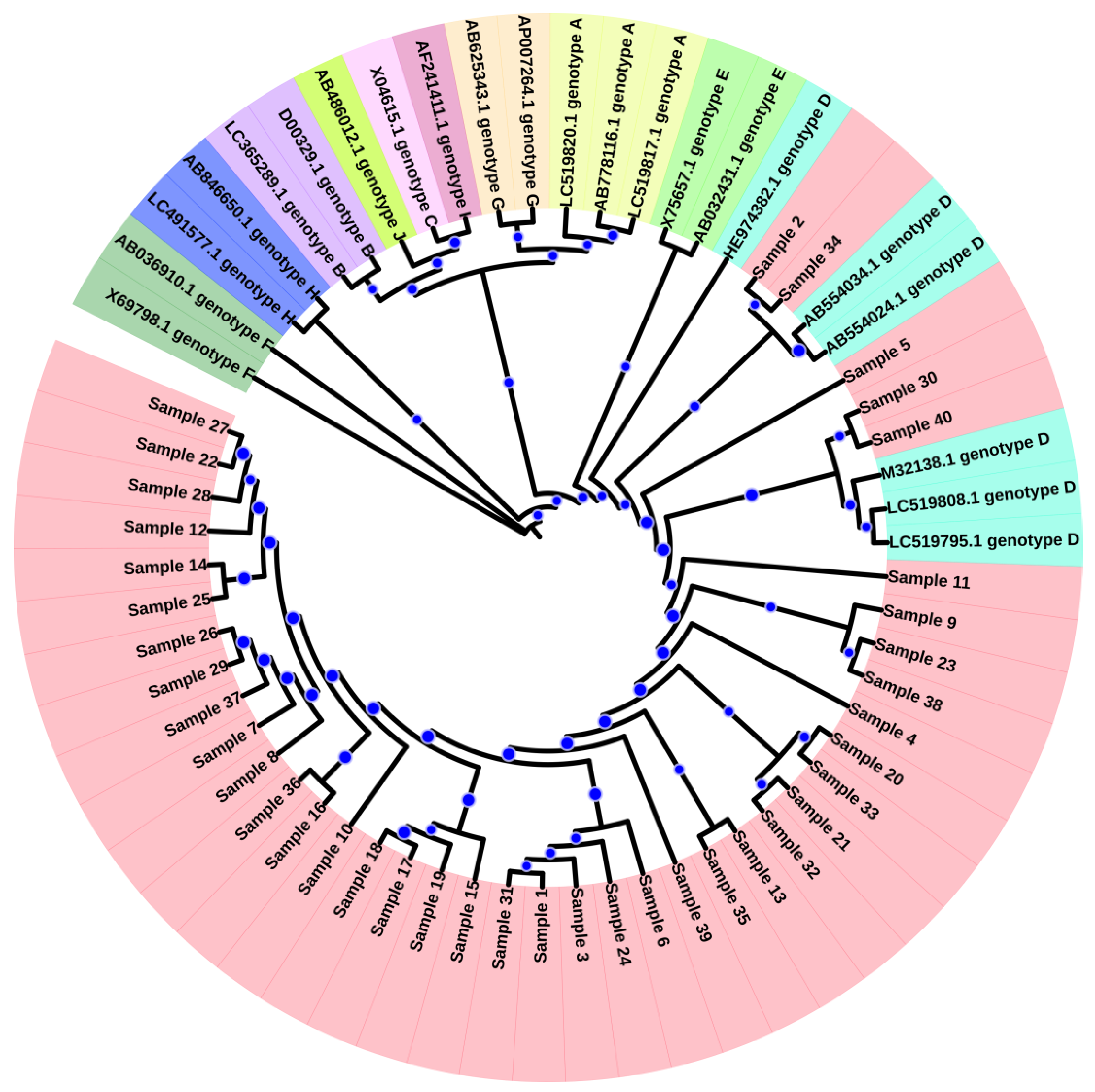 Microorganisms 11 02622 g001