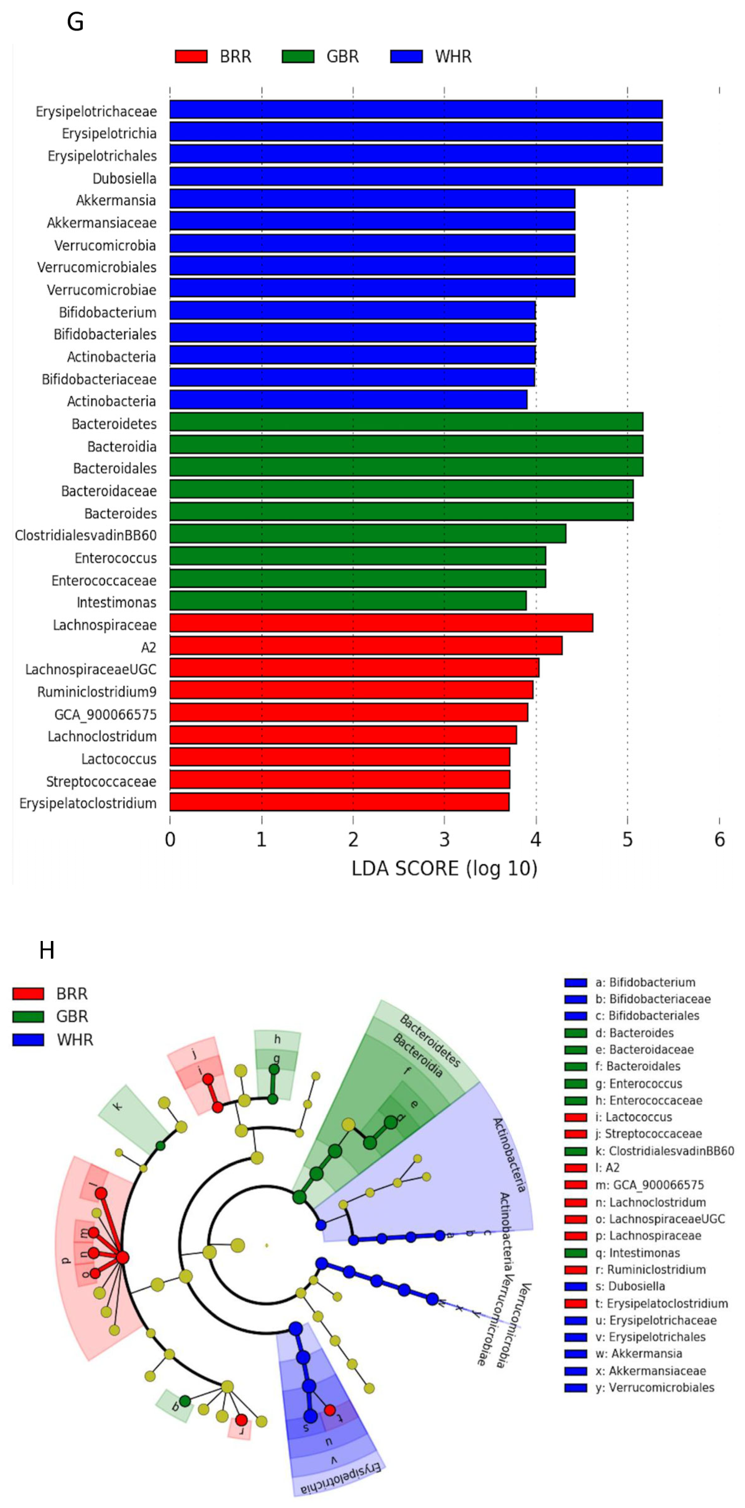 Microorganisms 11 02629 g005c