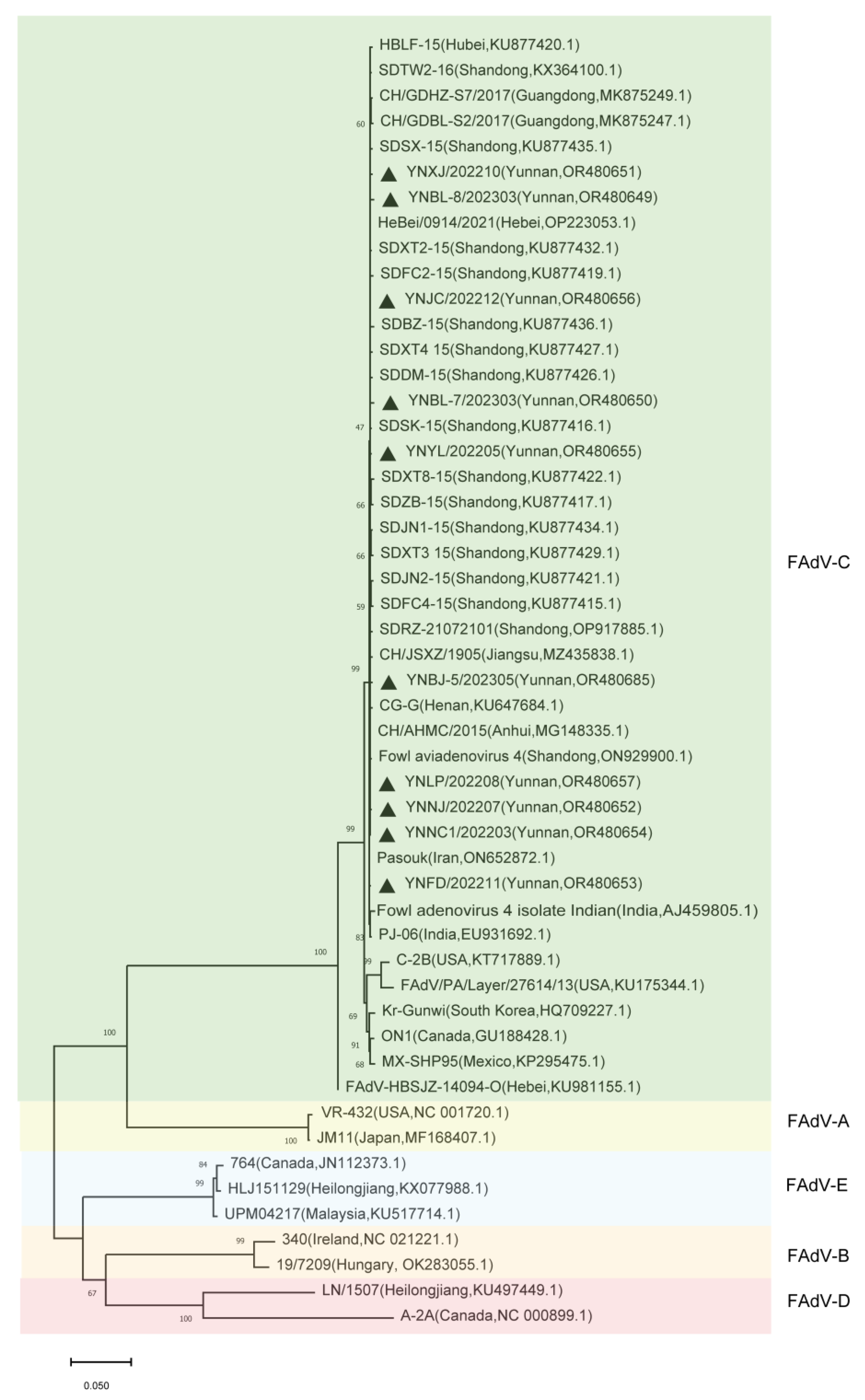 Microorganisms 11 02631 g001