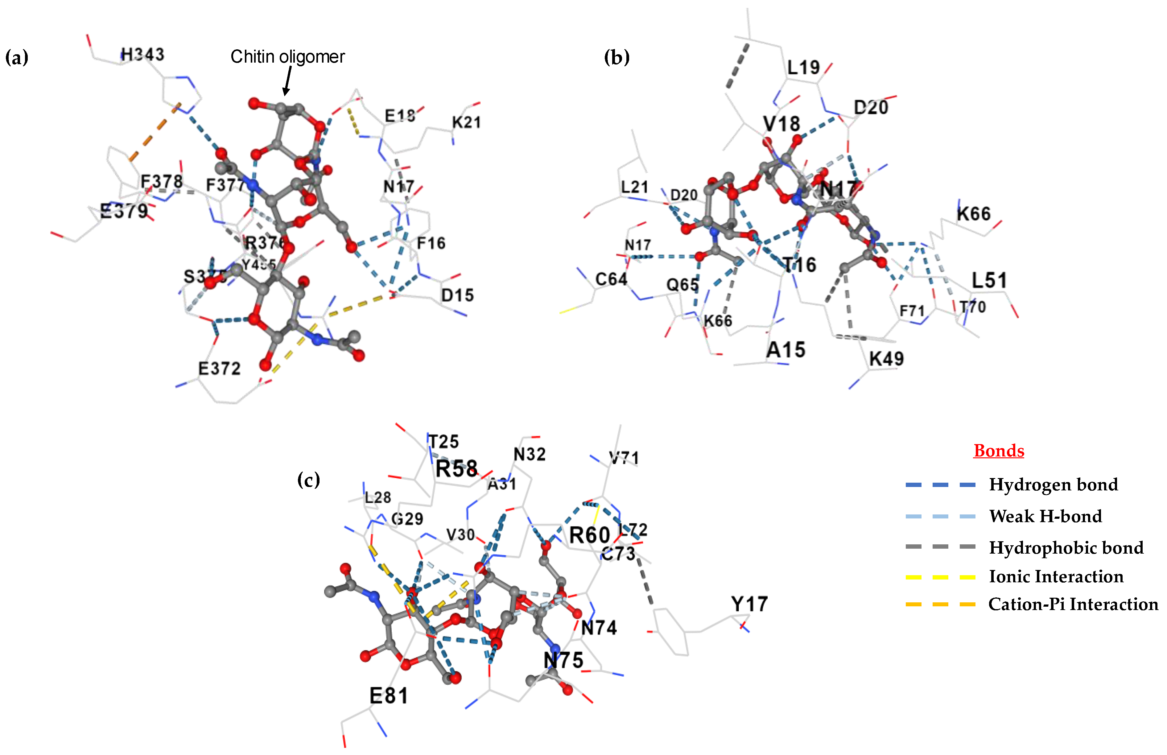 Microorganisms 11 02632 g013