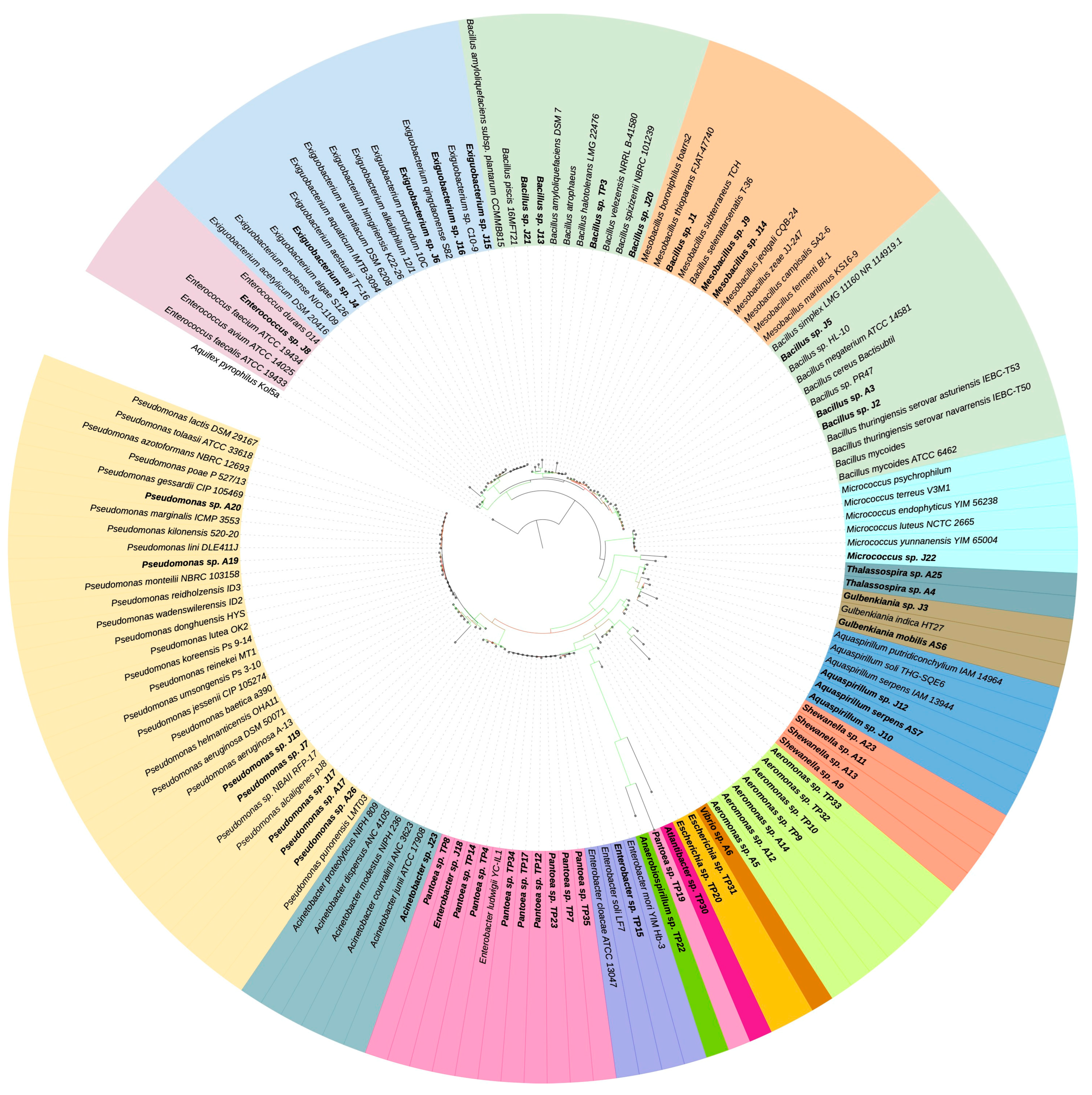 Microorganisms 11 02635 g003