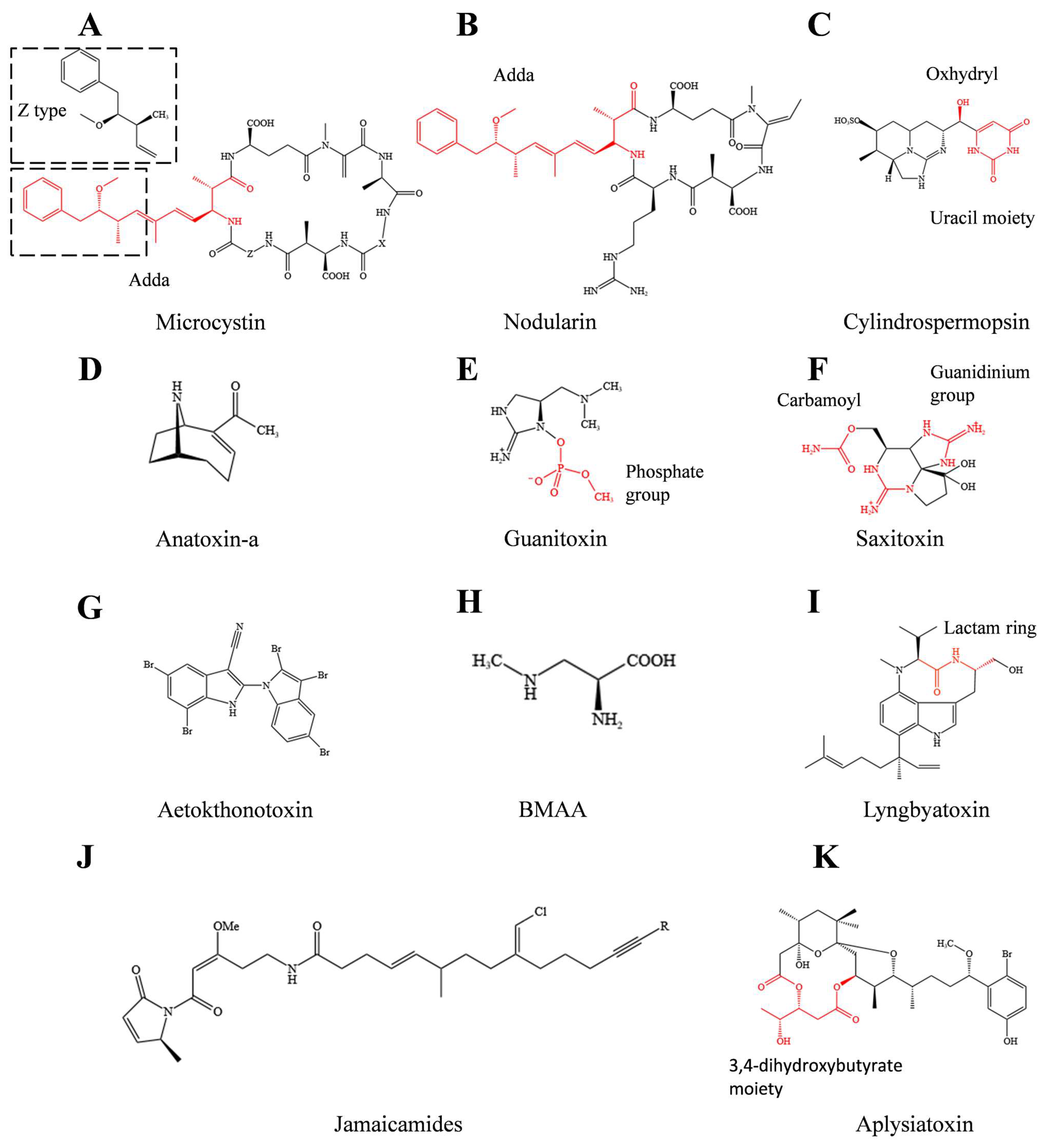 Microorganisms, Free Full-Text