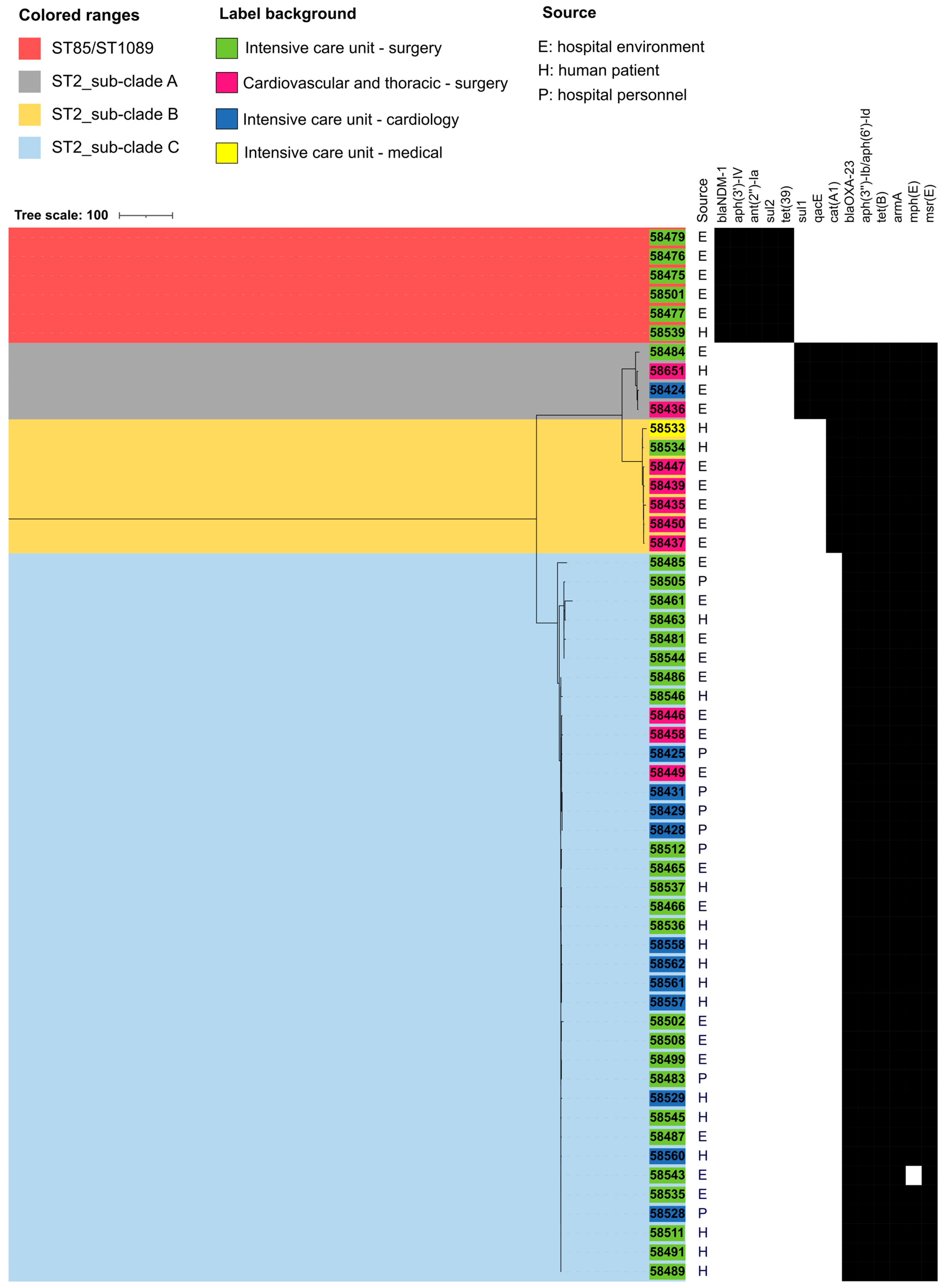 Microorganisms 11 02637 g002