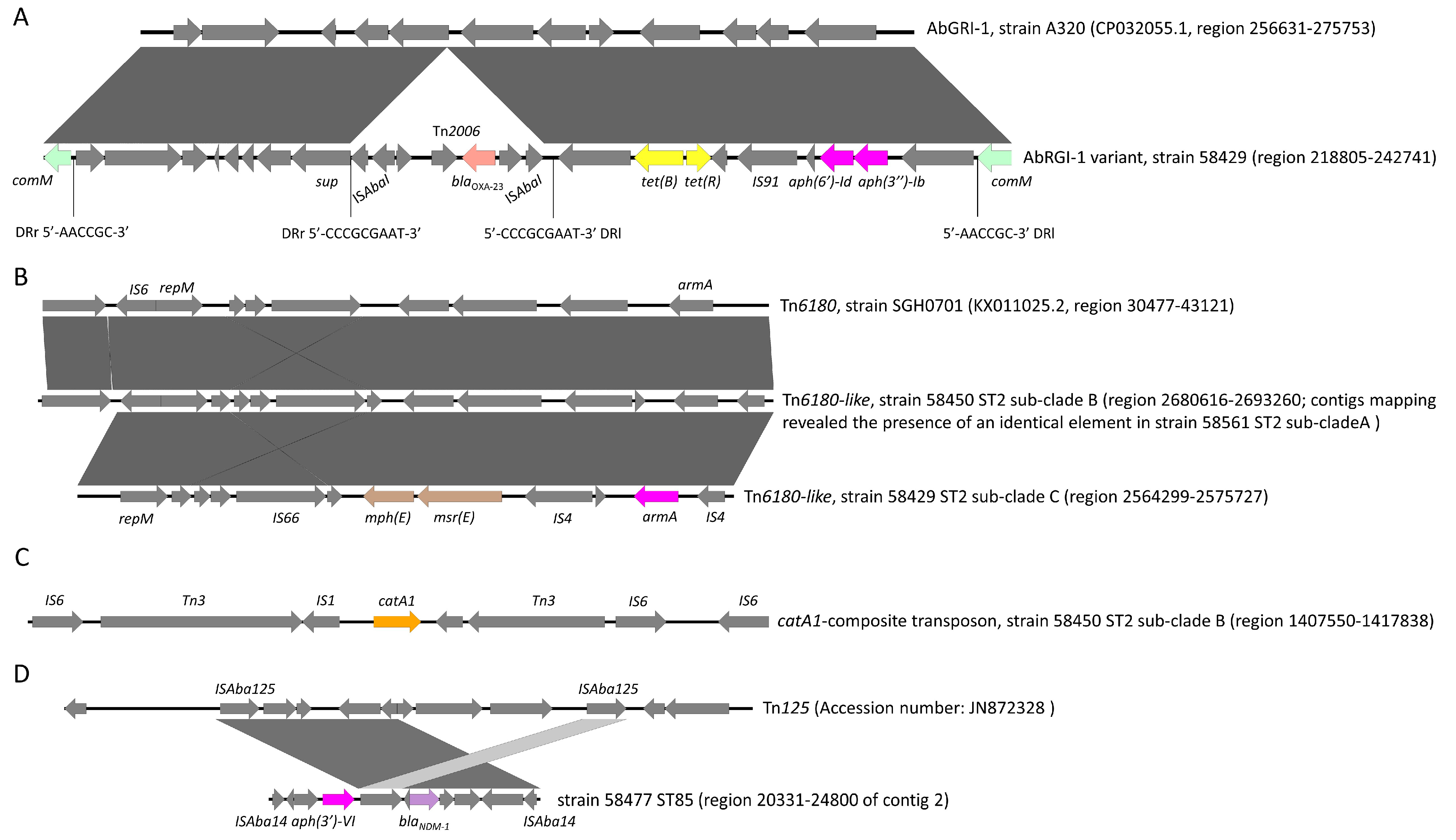 Microorganisms 11 02637 g003