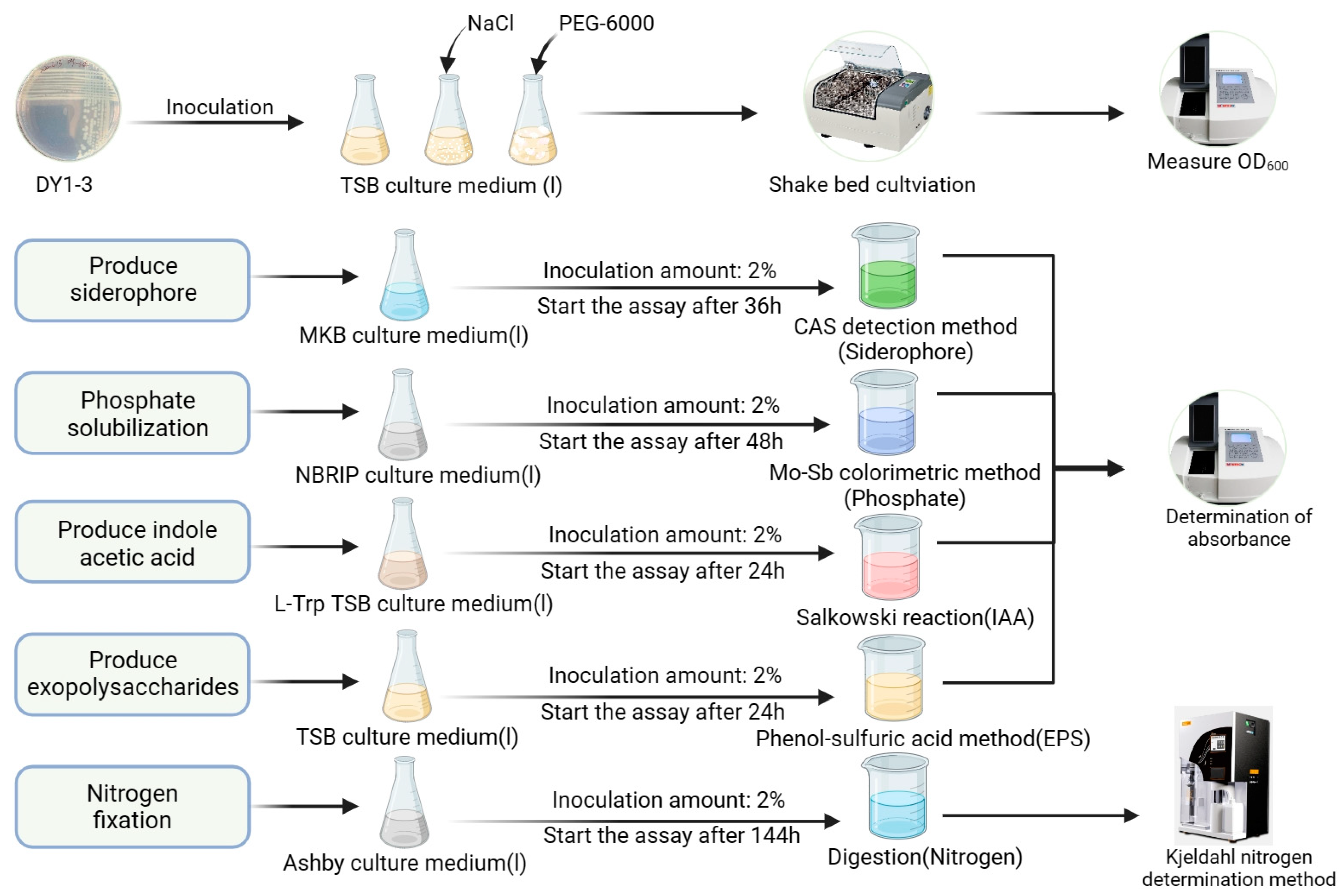 Microorganisms 11 02654 g001
