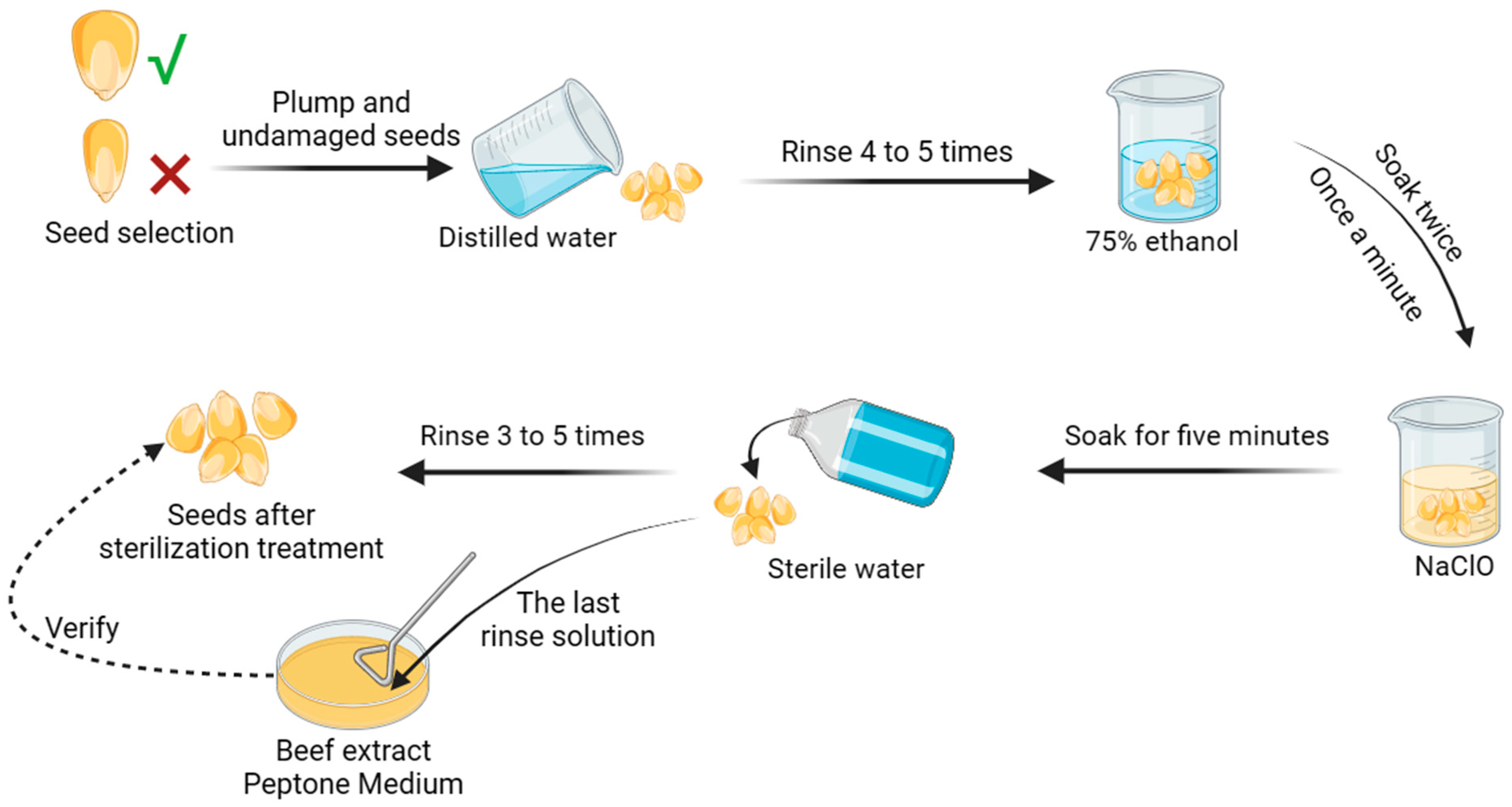 Microorganisms 11 02654 g002