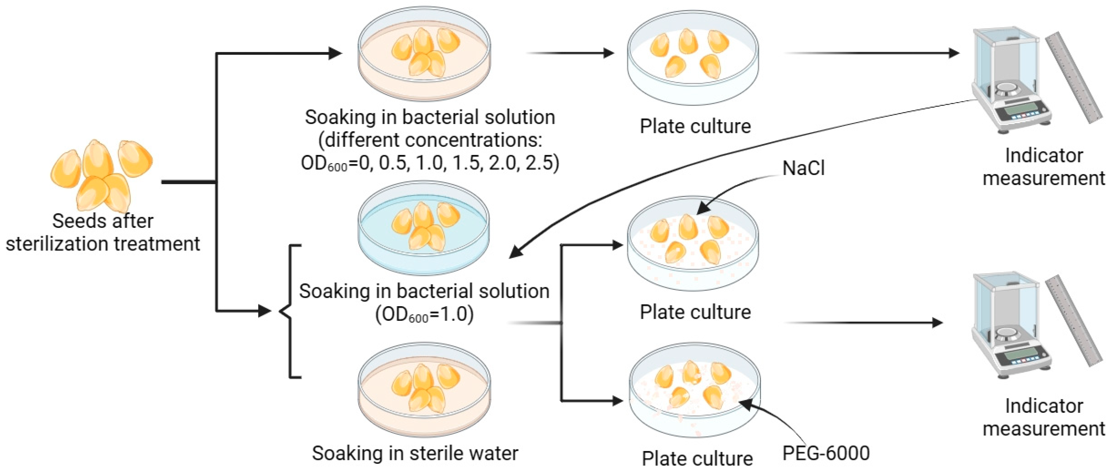 Microorganisms 11 02654 g003