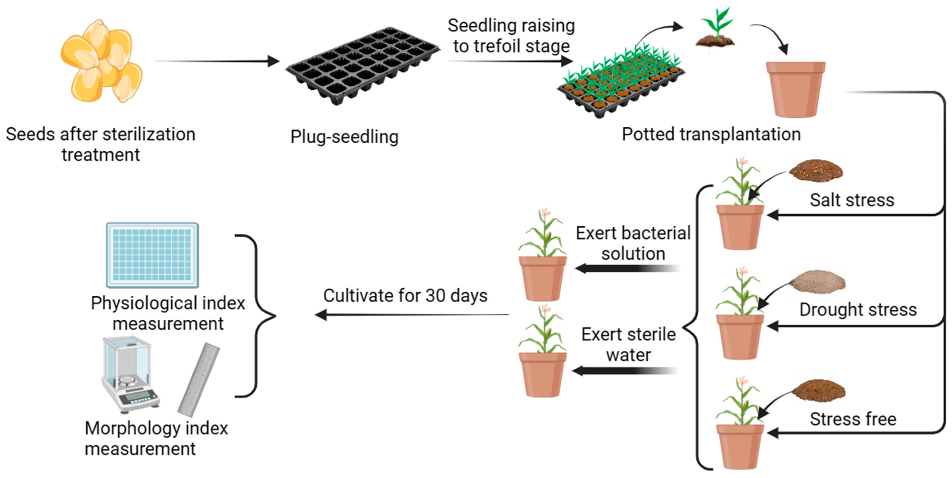 Microorganisms 11 02654 g004