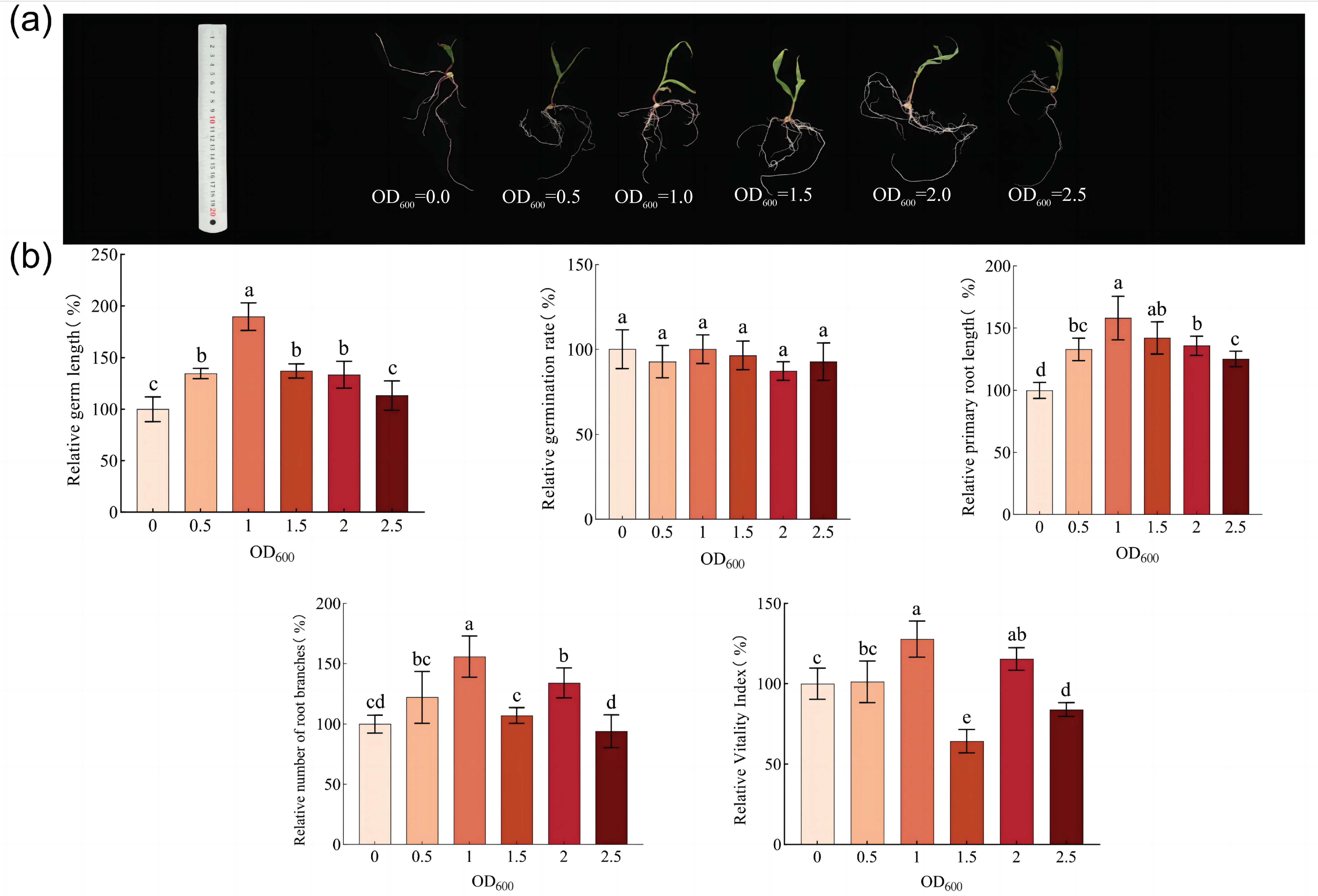 Microorganisms 11 02654 g008