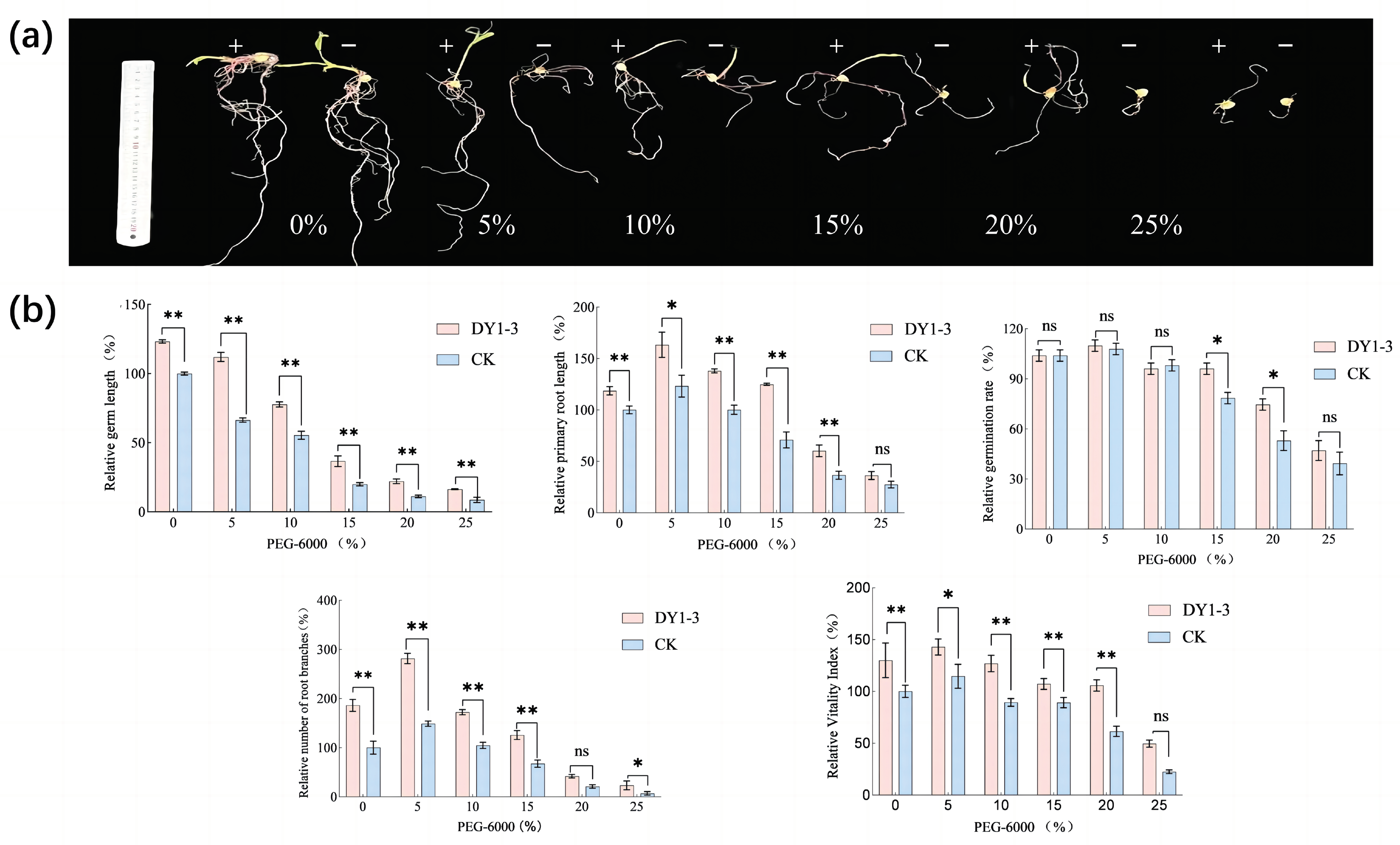 Microorganisms 11 02654 g010