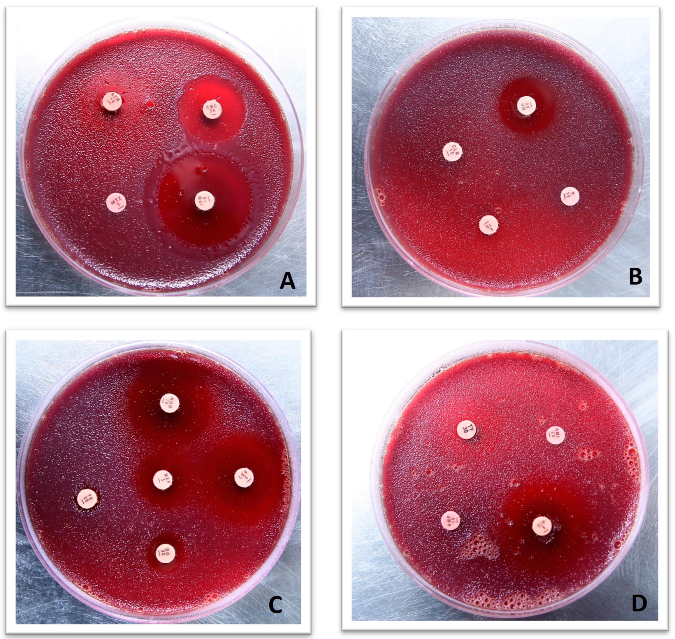 Microorganisms 11 02658 g003