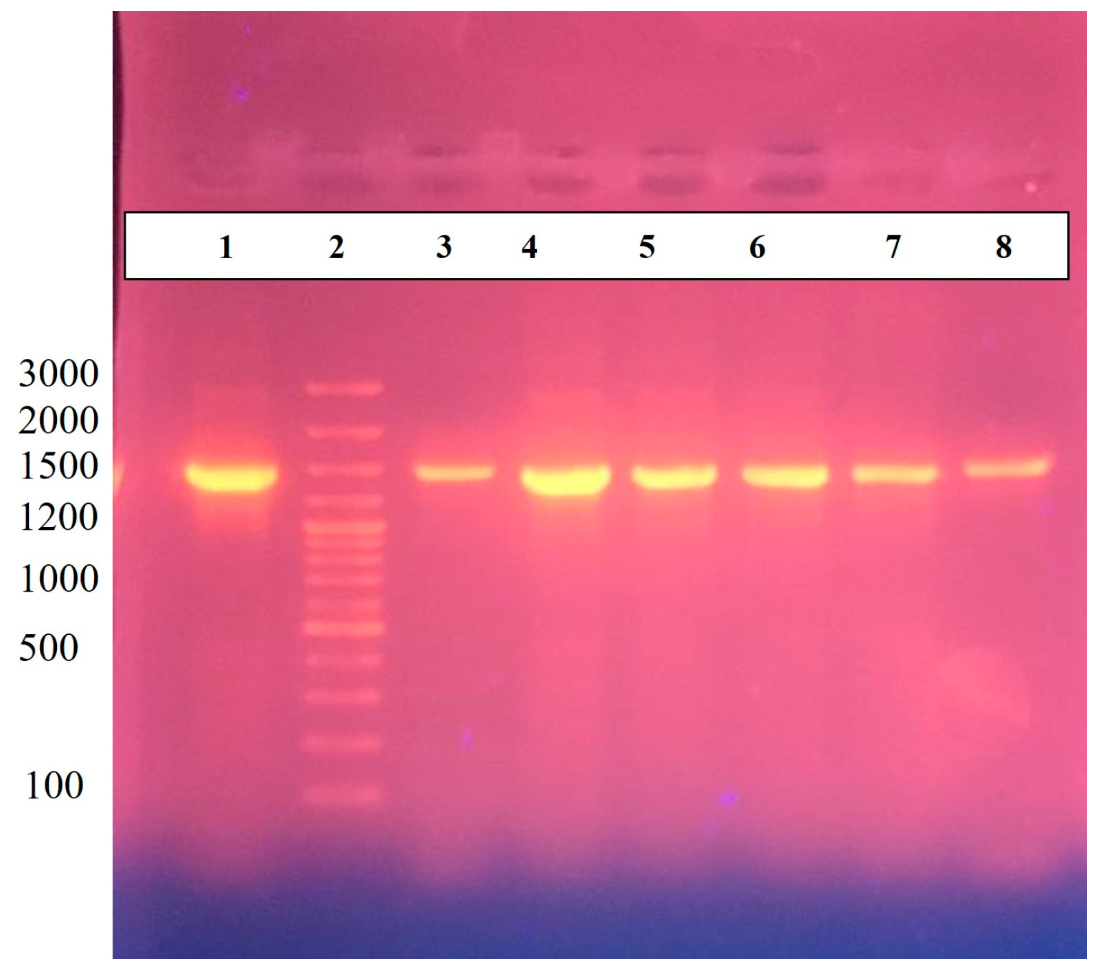 Microorganisms 11 02658 g004