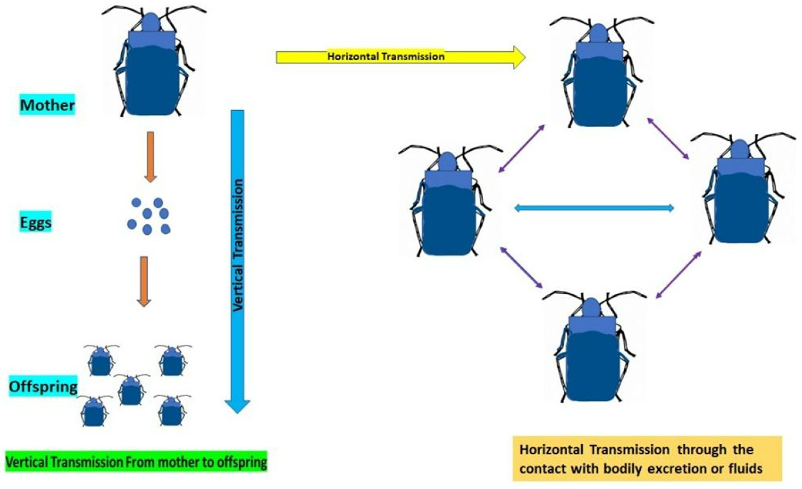 Microorganisms 11 02665 g002 Microorganisms 11 02665 g002