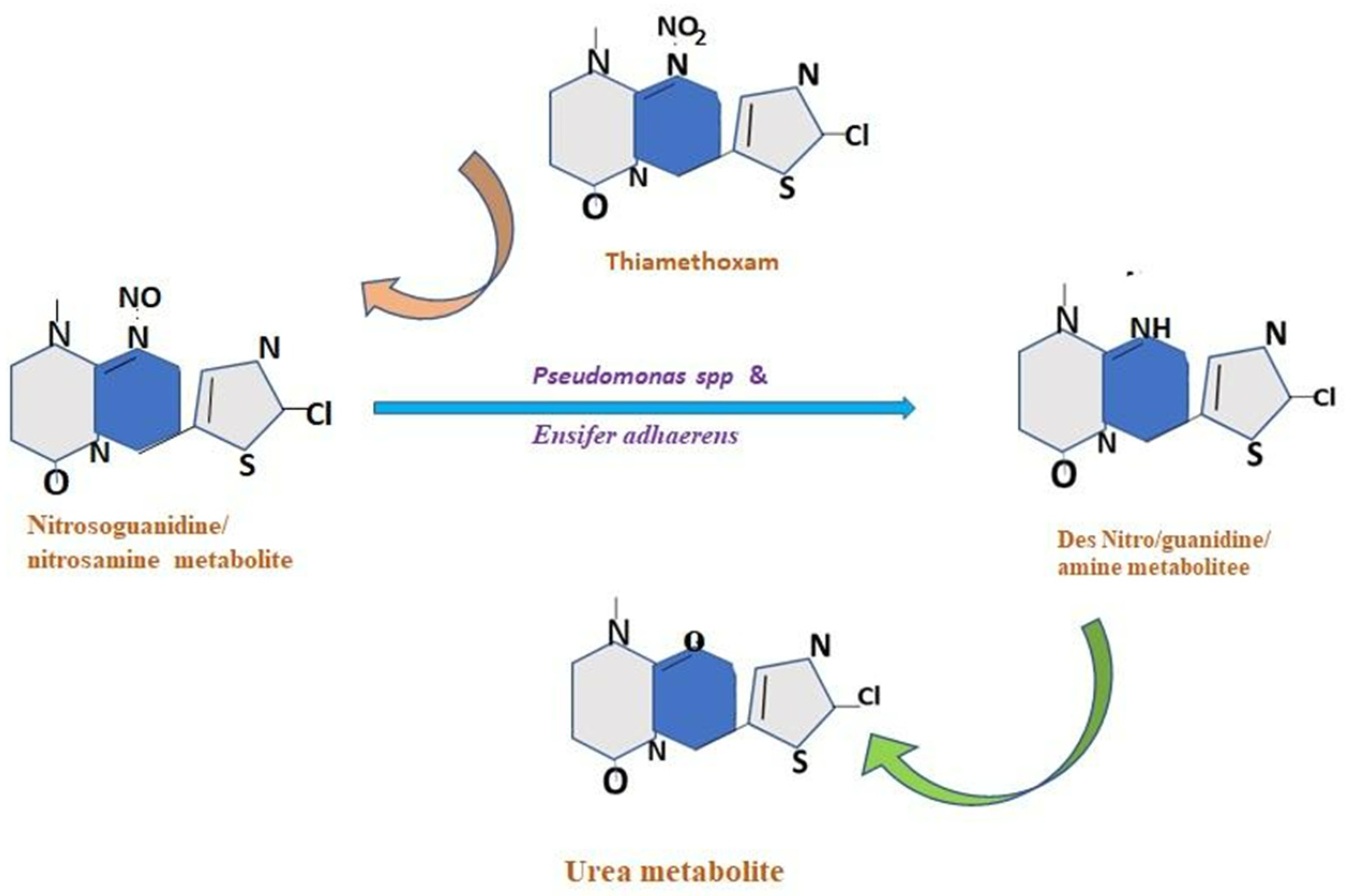 Microorganisms 11 02665 g003 Microorganisms 11 02665 g003
