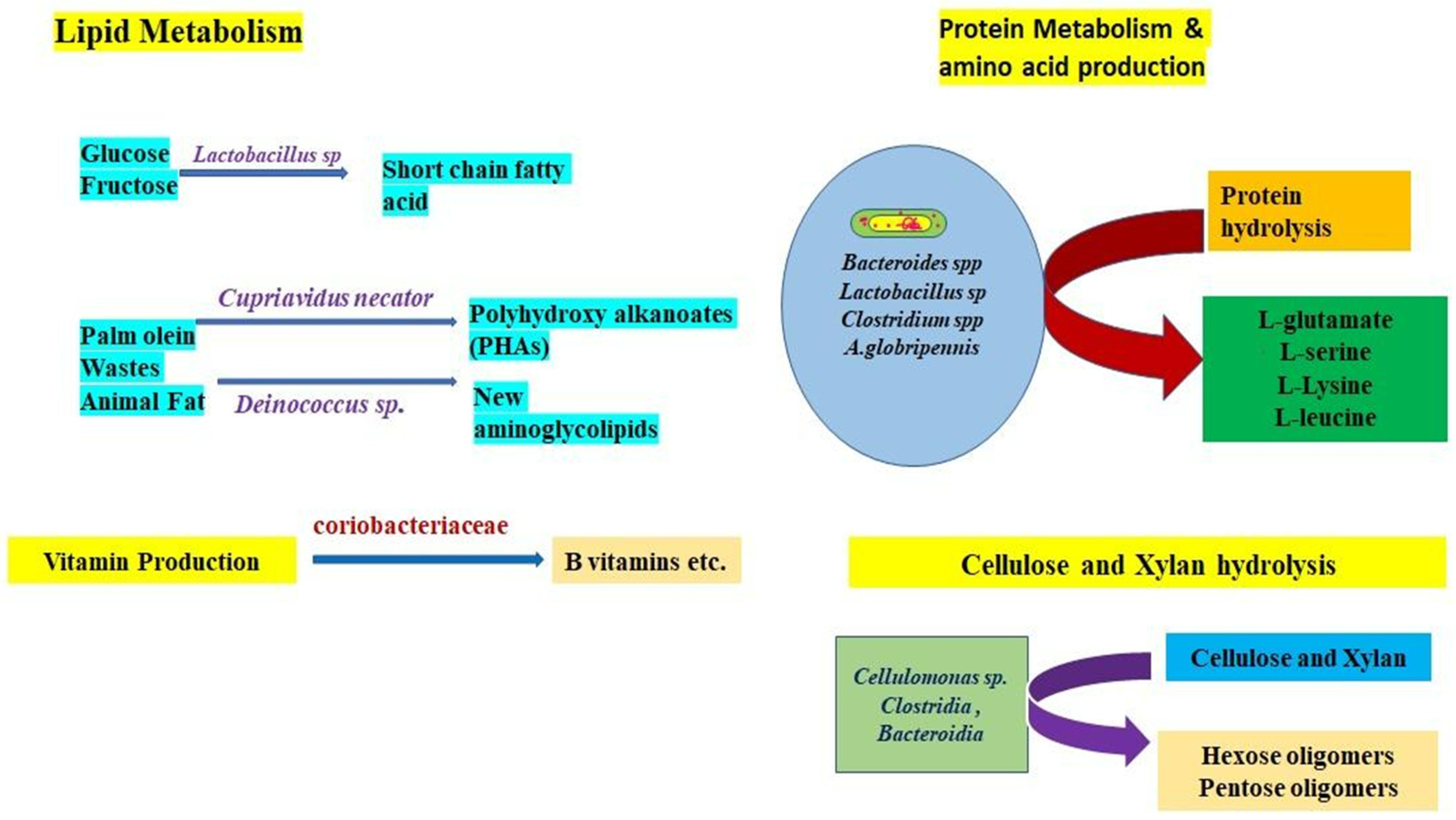 Microorganisms 11 02665 g004 Microorganisms 11 02665 g004