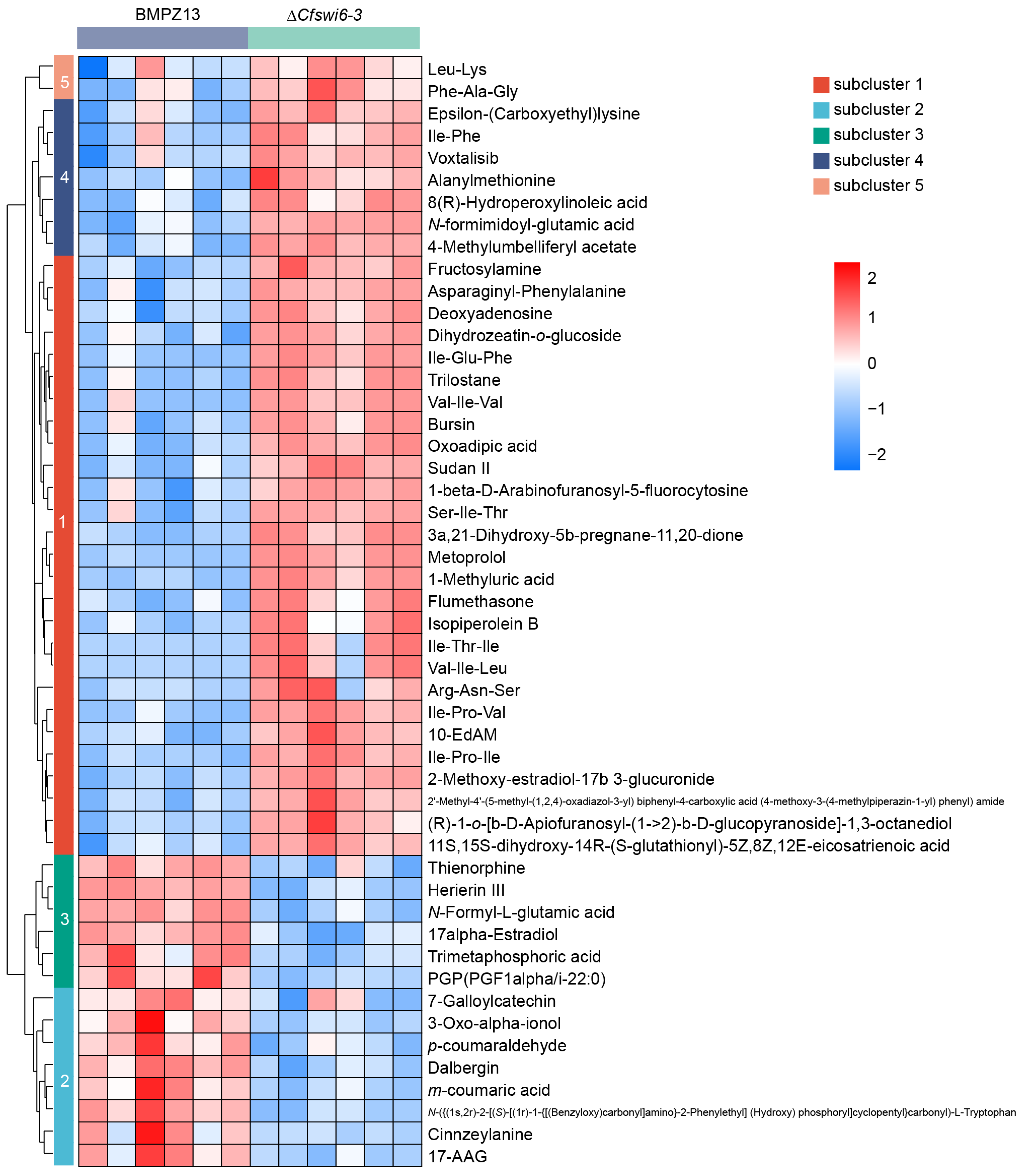 Microorganisms 11 02666 g006