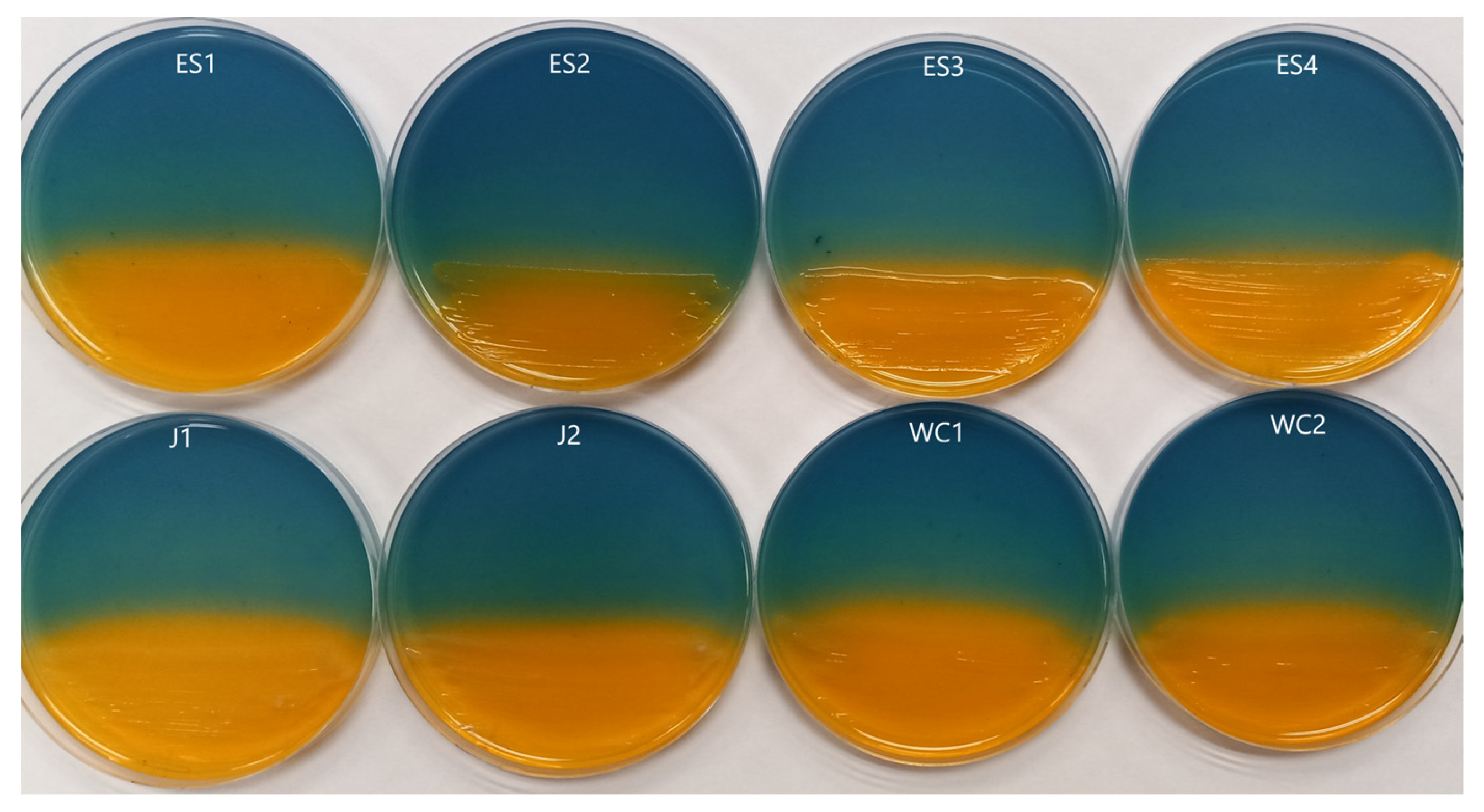 Microorganisms 11 02672 g002