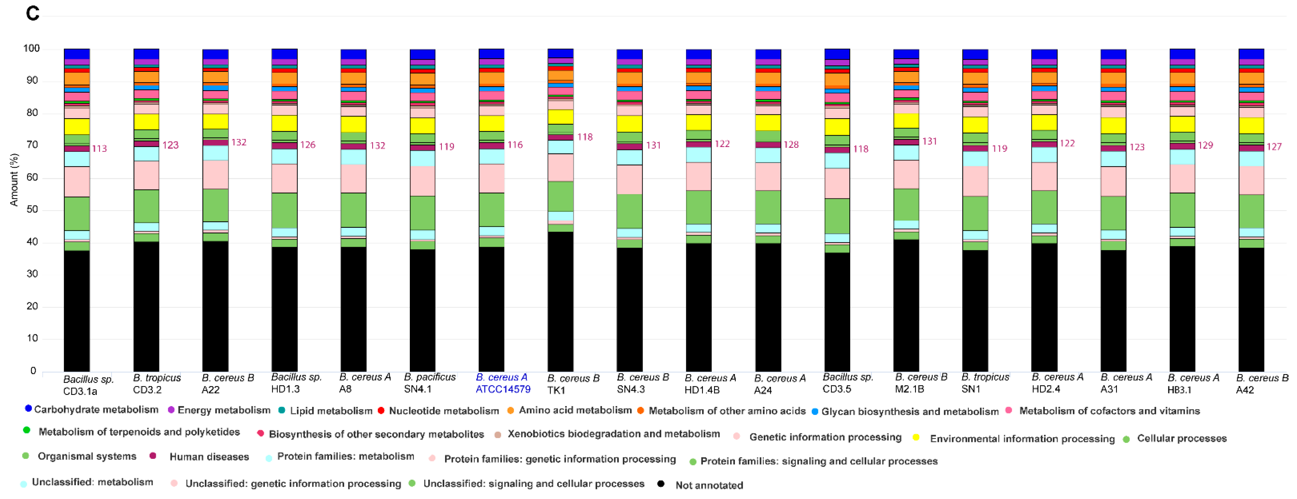 Microorganisms 11 02677 g001c