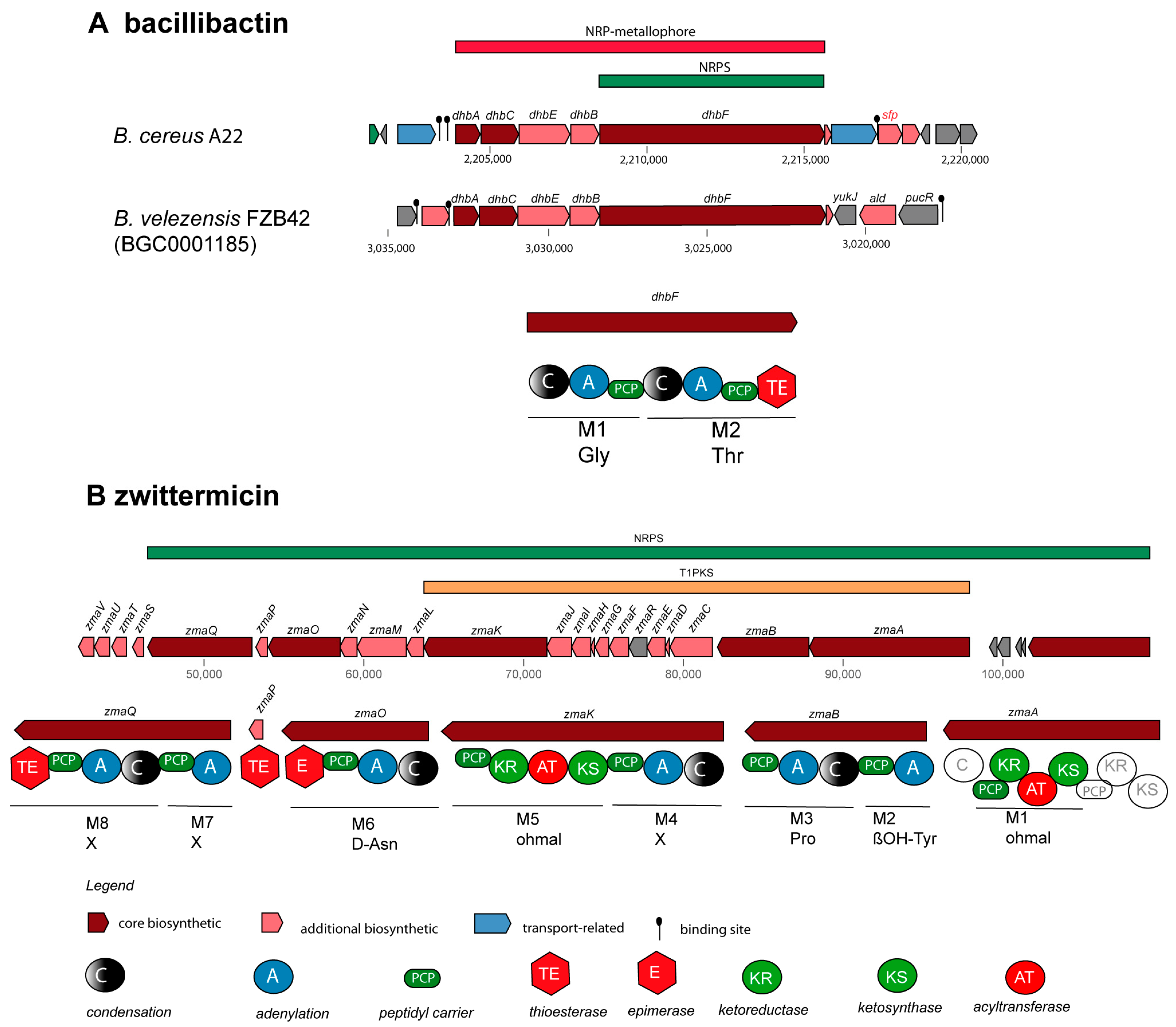 Microorganisms 11 02677 g005