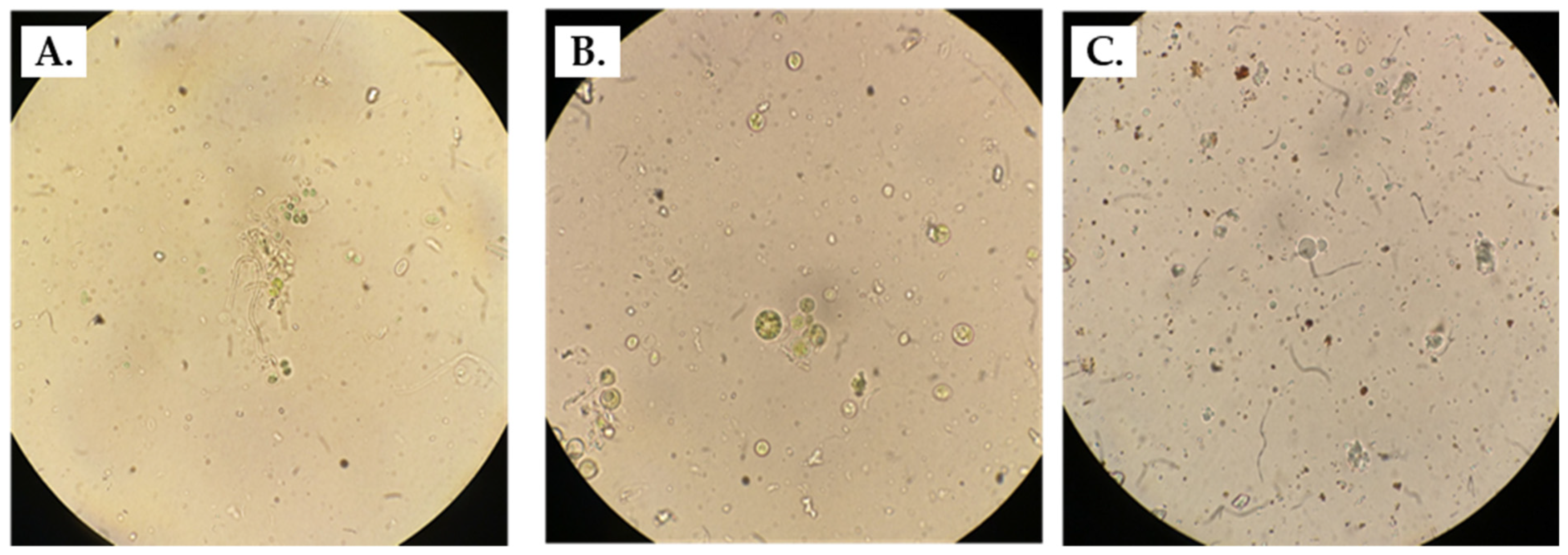 Microorganisms 11 02681 g002