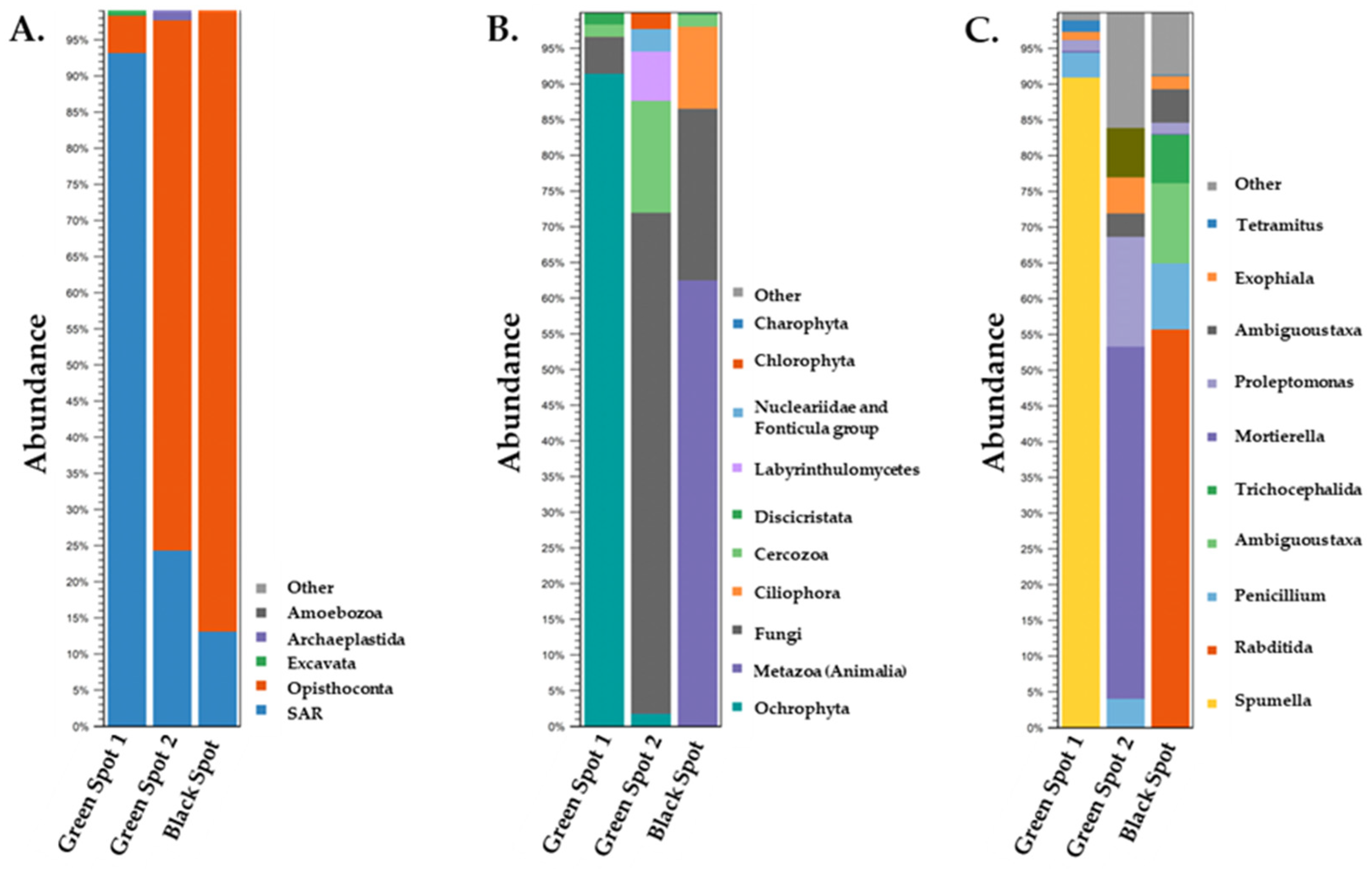 Microorganisms 11 02681 g006