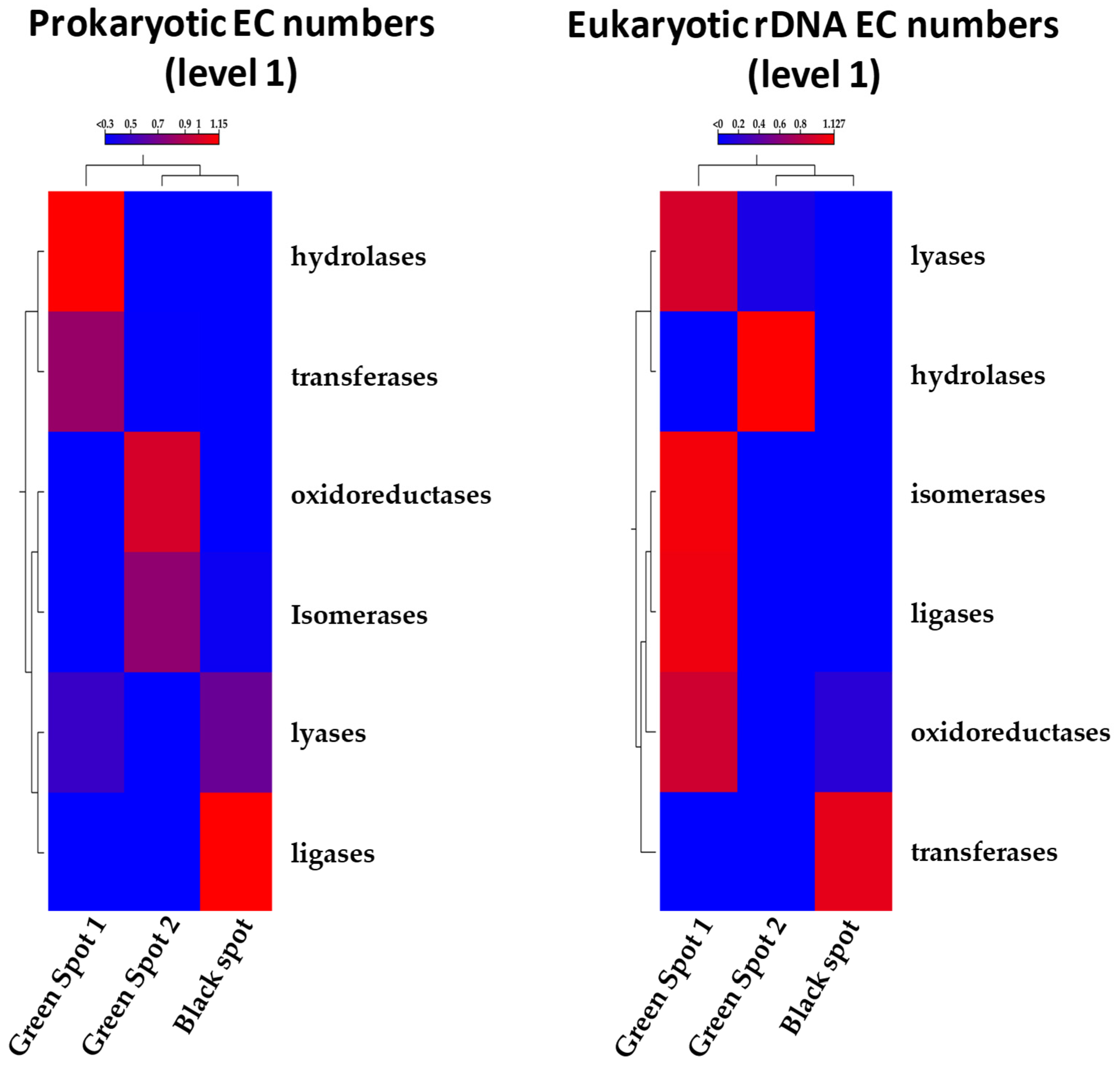 Microorganisms 11 02681 g007